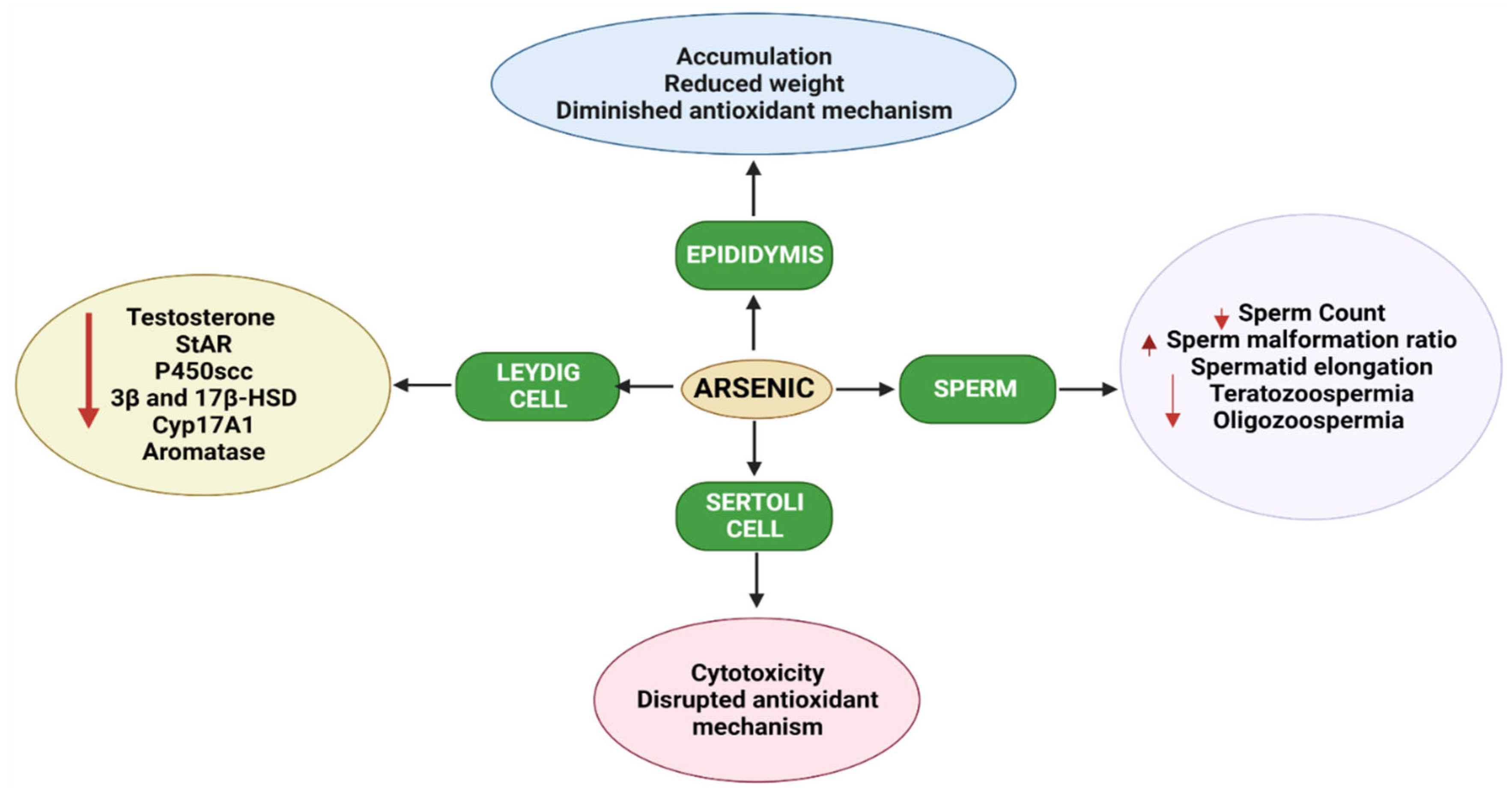 Toxics 10 00744 g005 Toxics 10 00744 g005