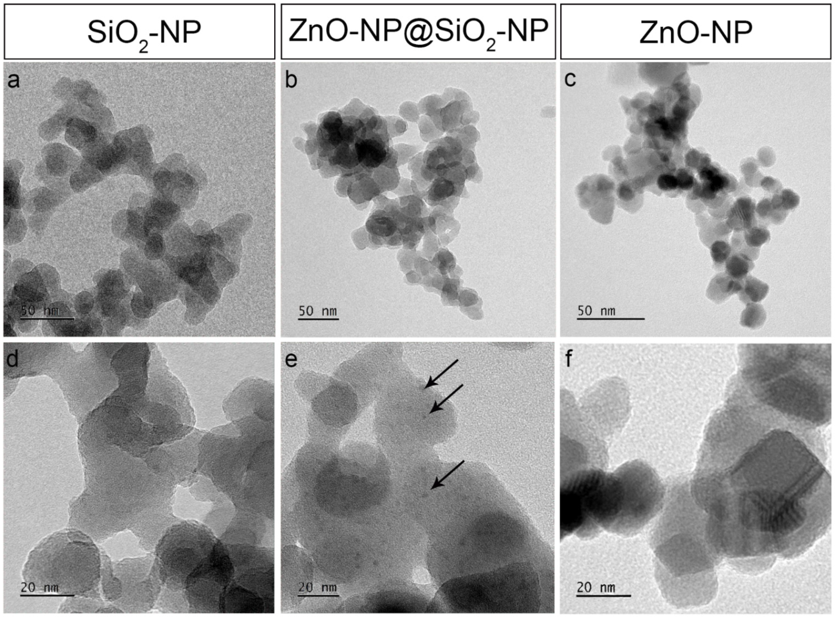Toxics | Free Full-Text | On the In Vitro and In Vivo Hazard Assessment of  a Novel Nanomaterial to Reduce the Use of Zinc Oxide in the Rubber  Vulcanization Process