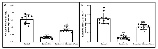 The Significance of Zamzam Water and Where to Source it Safely, by Seven  Spikes Relief