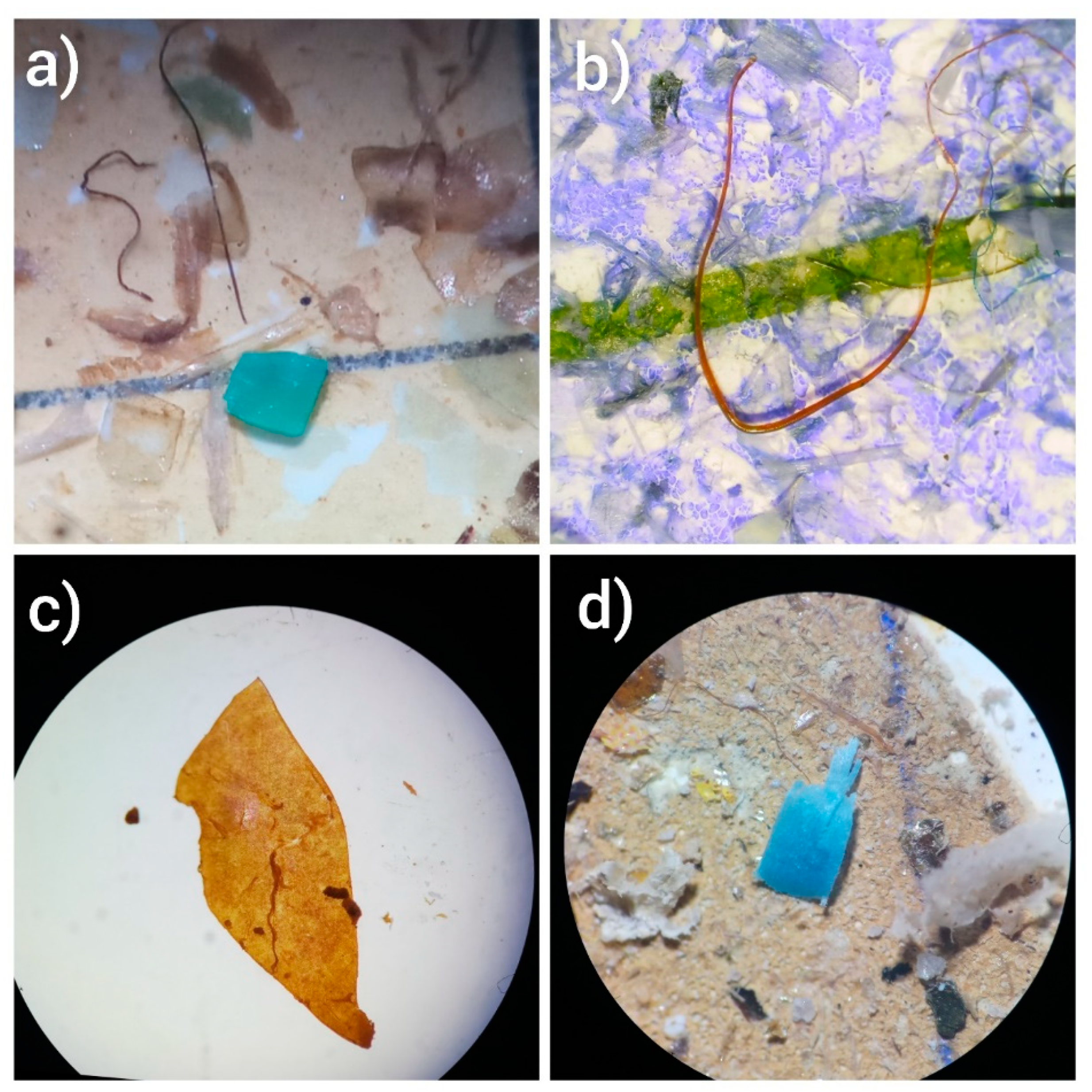 Toxics 11 00003 g002
