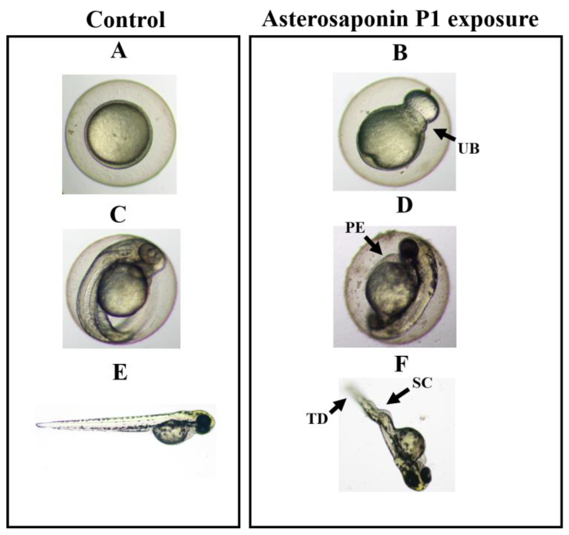 Toxics 11 00137 g004