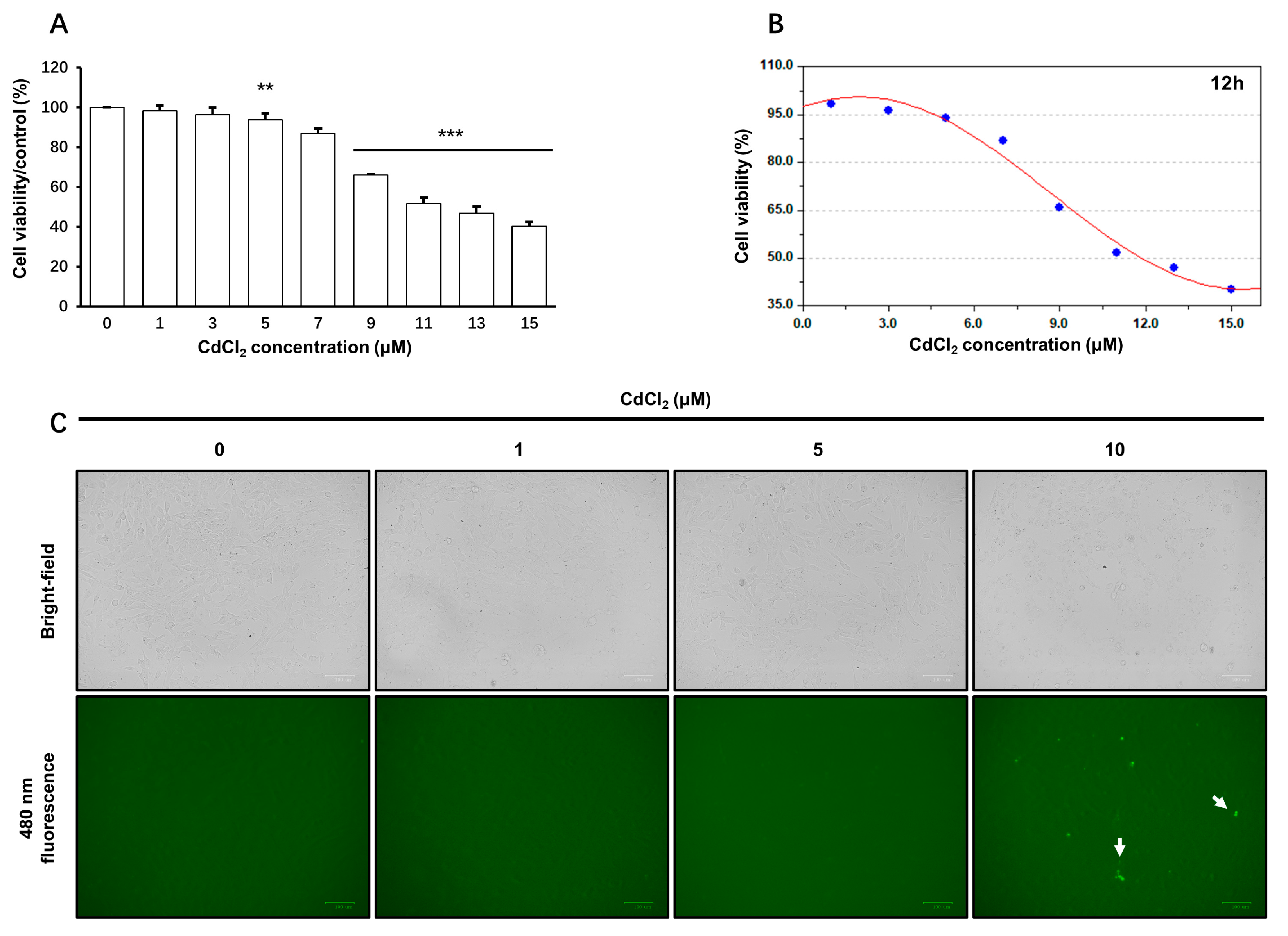 Toxics 11 00167 g001 Toxics 11 00167 g001