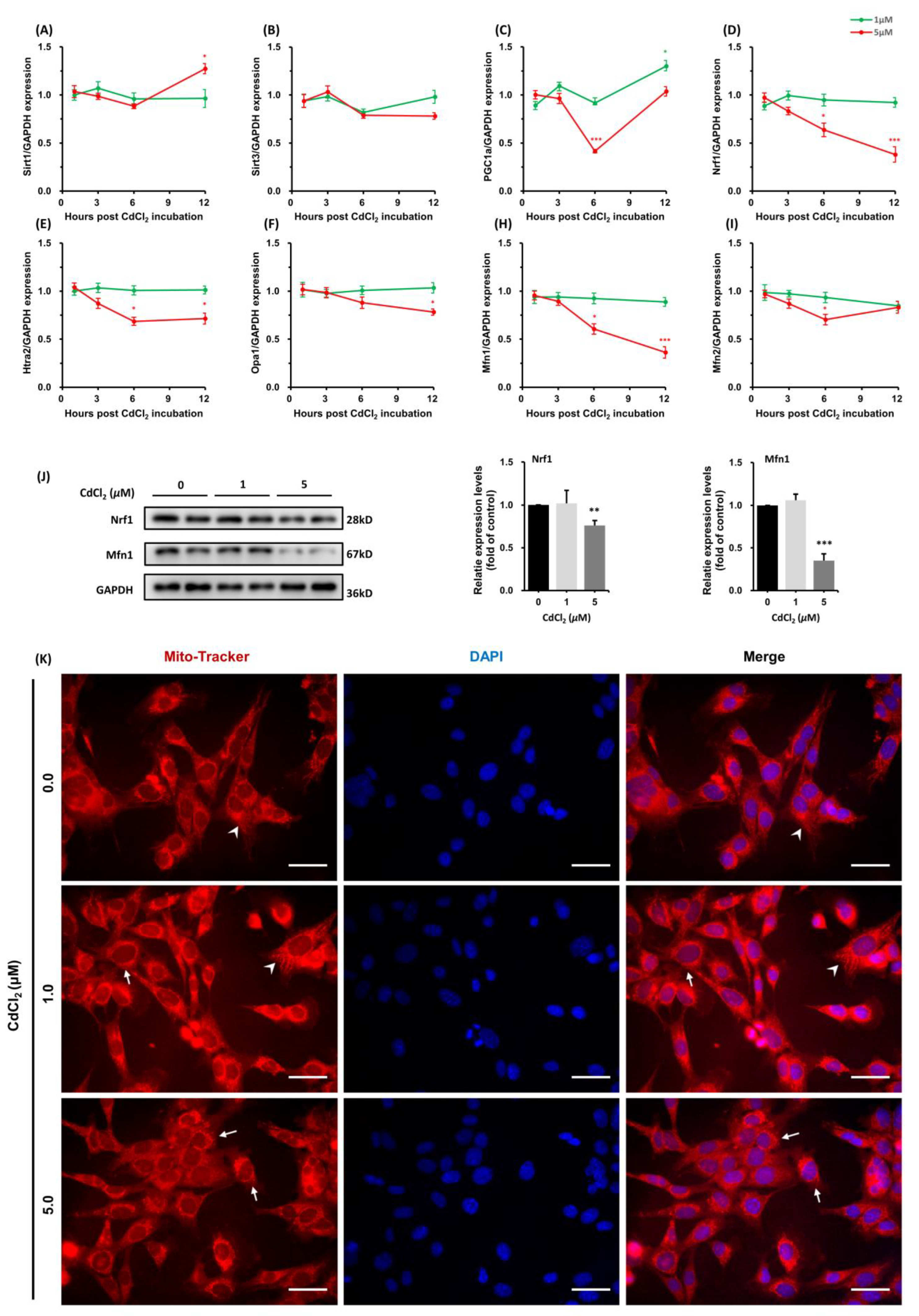 Toxics 11 00167 g003 Toxics 11 00167 g003