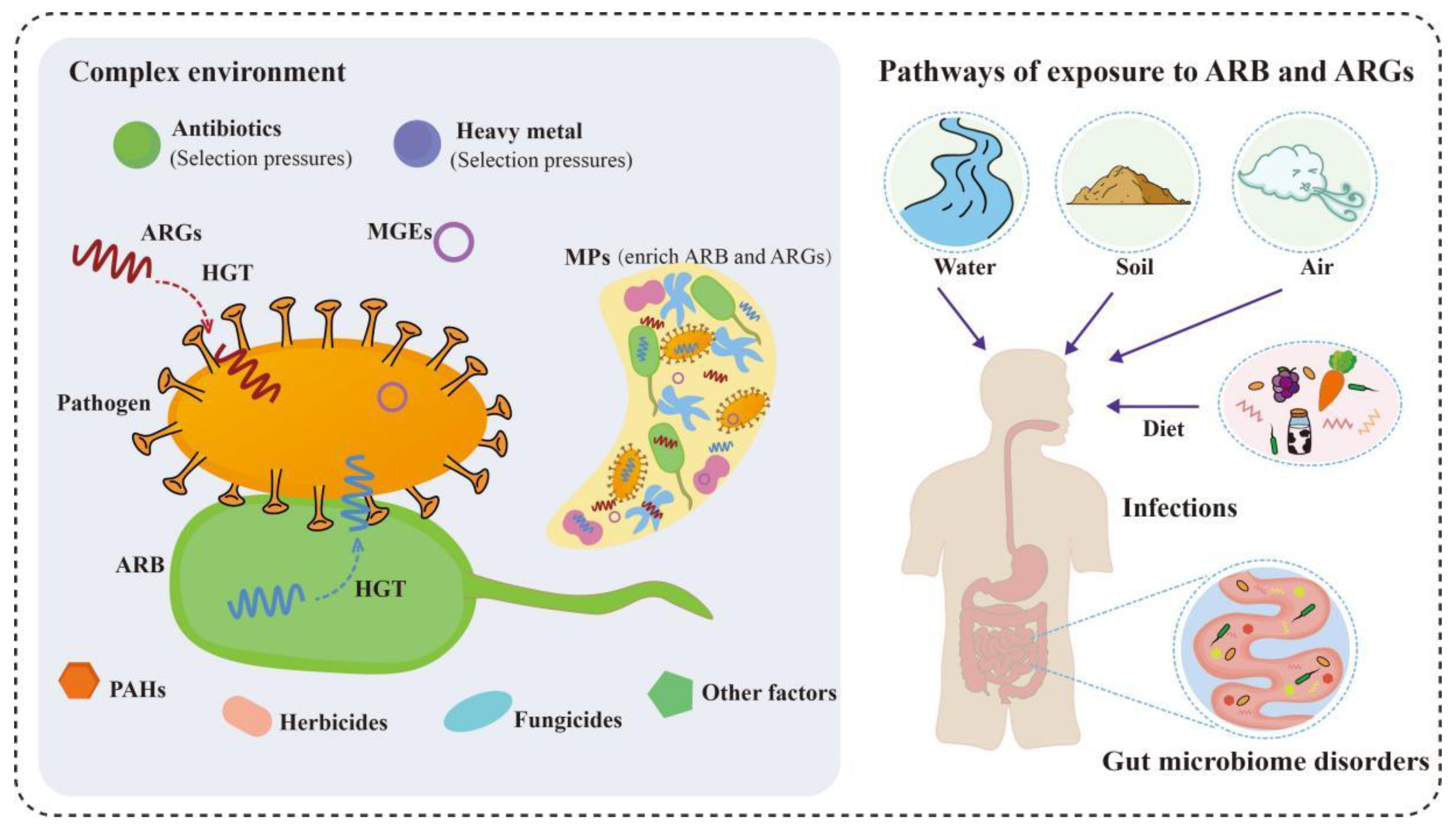 Toxics 11 00185 g002