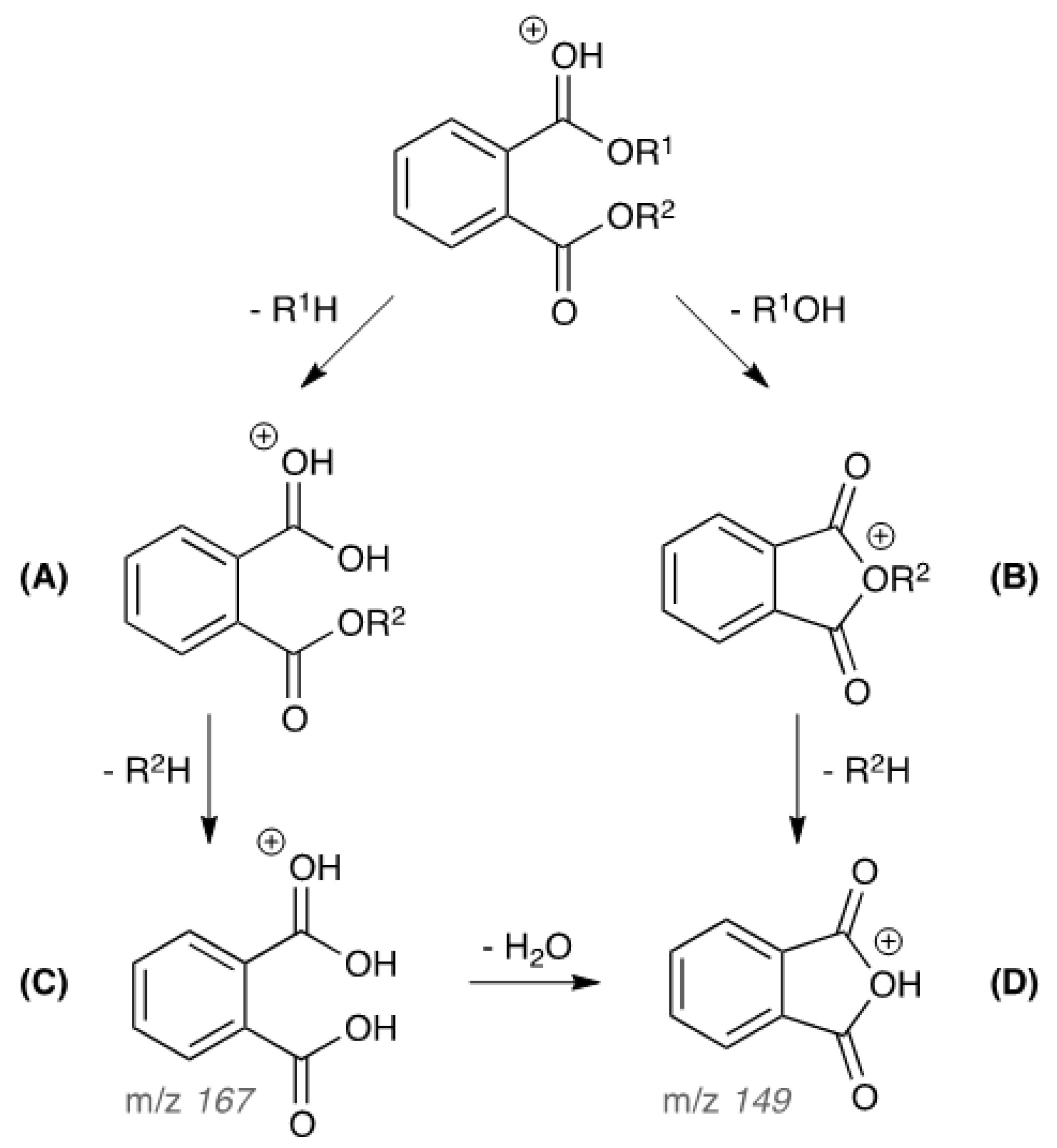 Toxics 11 00200 g002