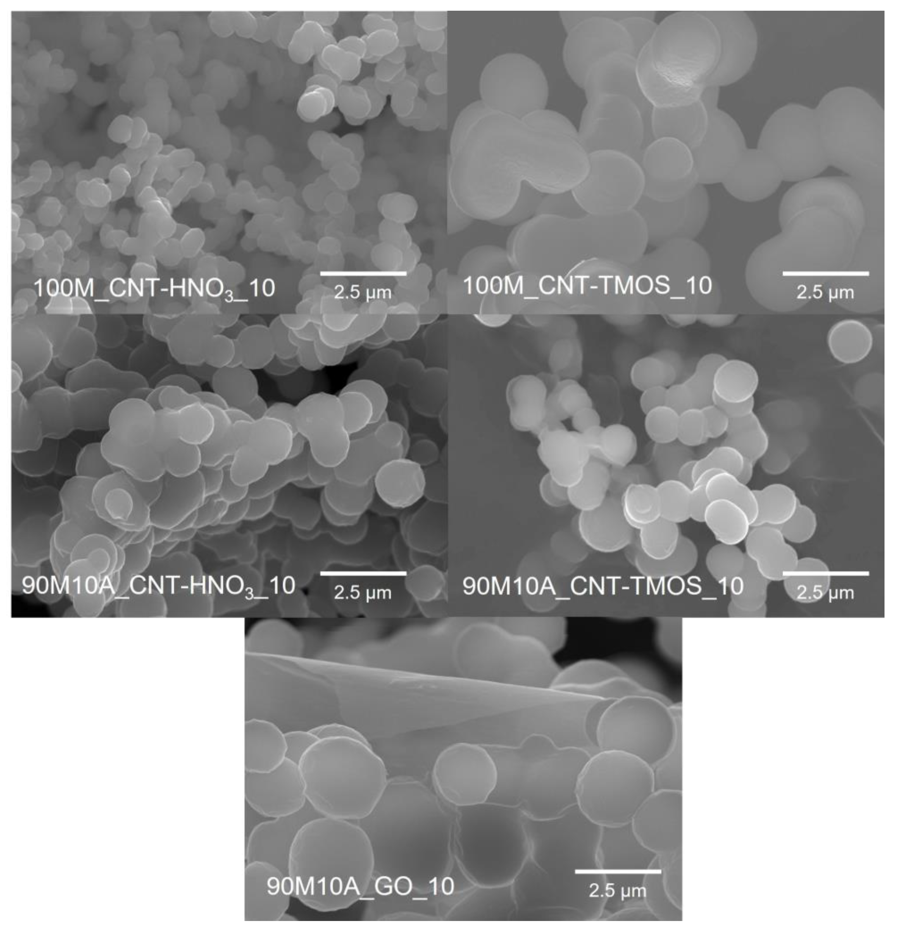 Toxics 11 00232 g001
