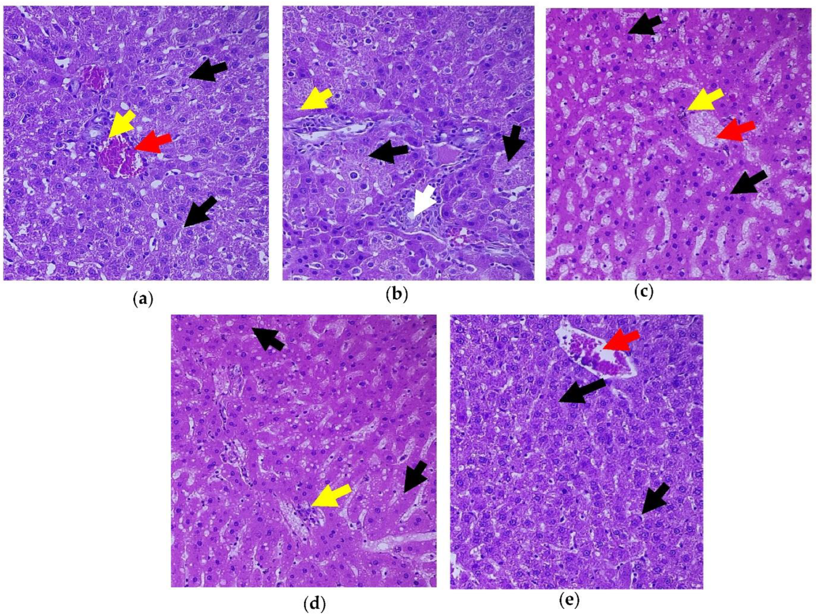Toxics 11 00240 g009
