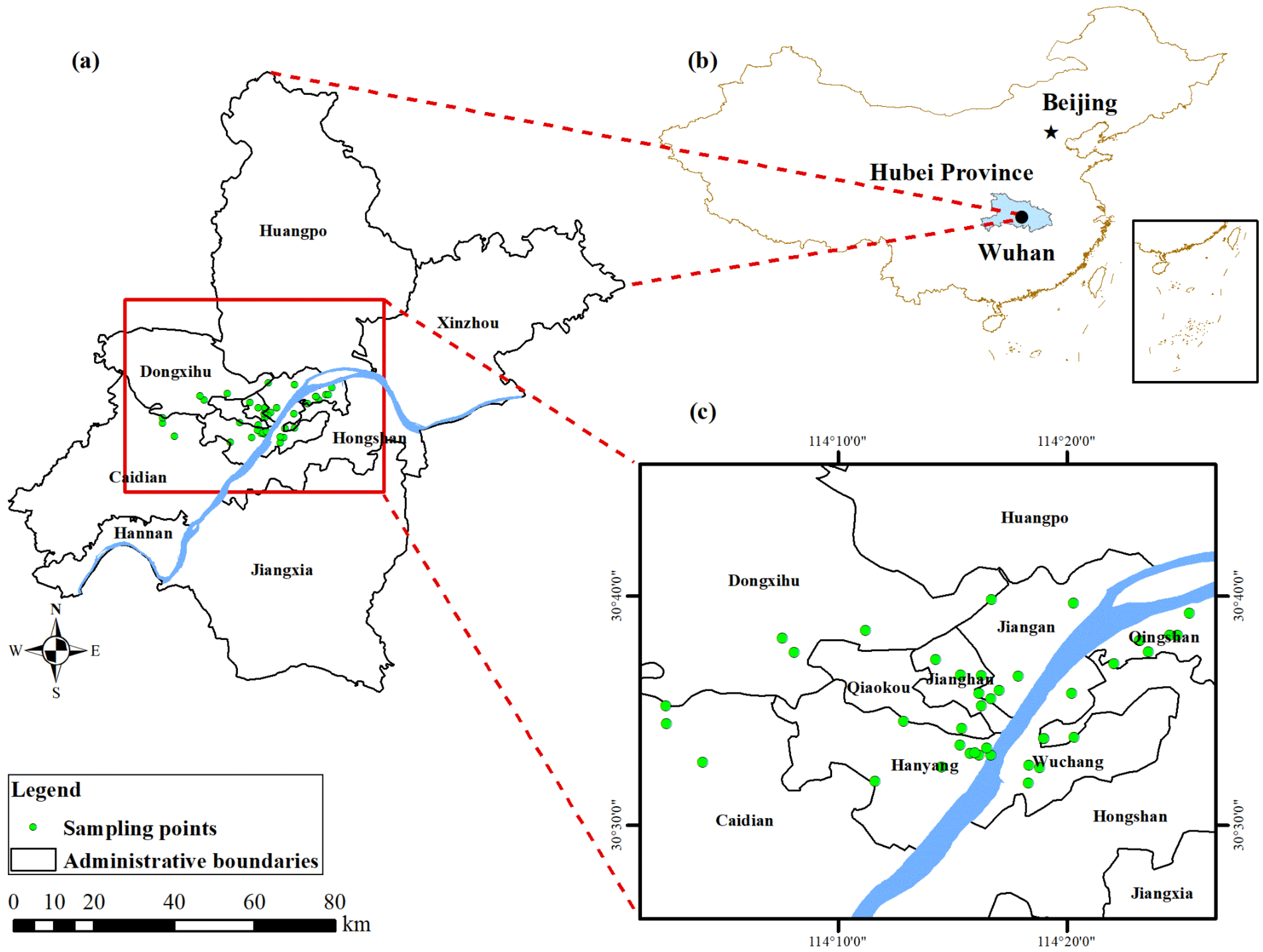 Toxics 11 00257 g001