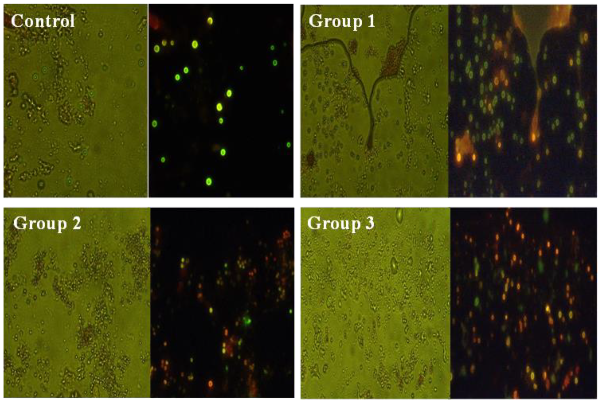 Toxics 11 00282 g006 Toxics 11 00282 g006