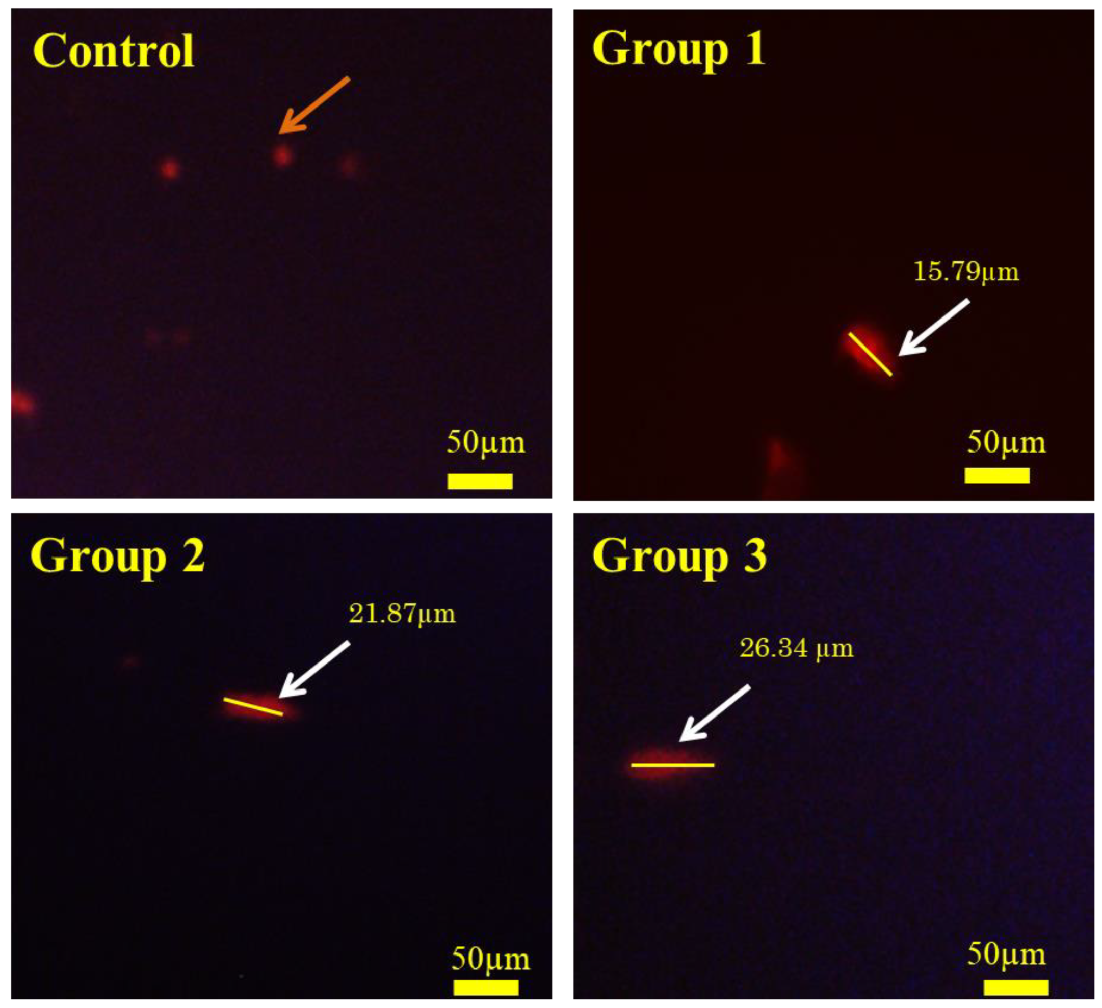 Toxics 11 00282 g007 Toxics 11 00282 g007