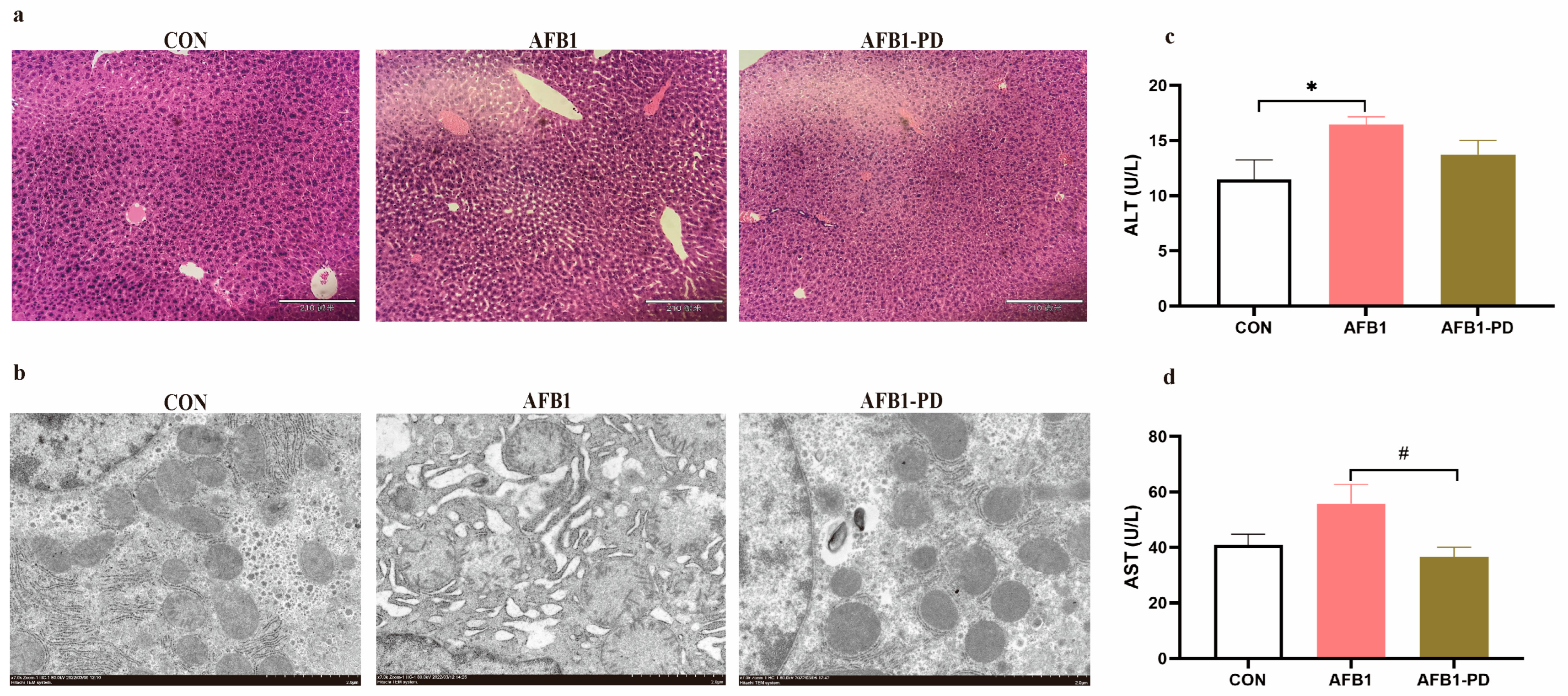 Toxics 11 00309 g001