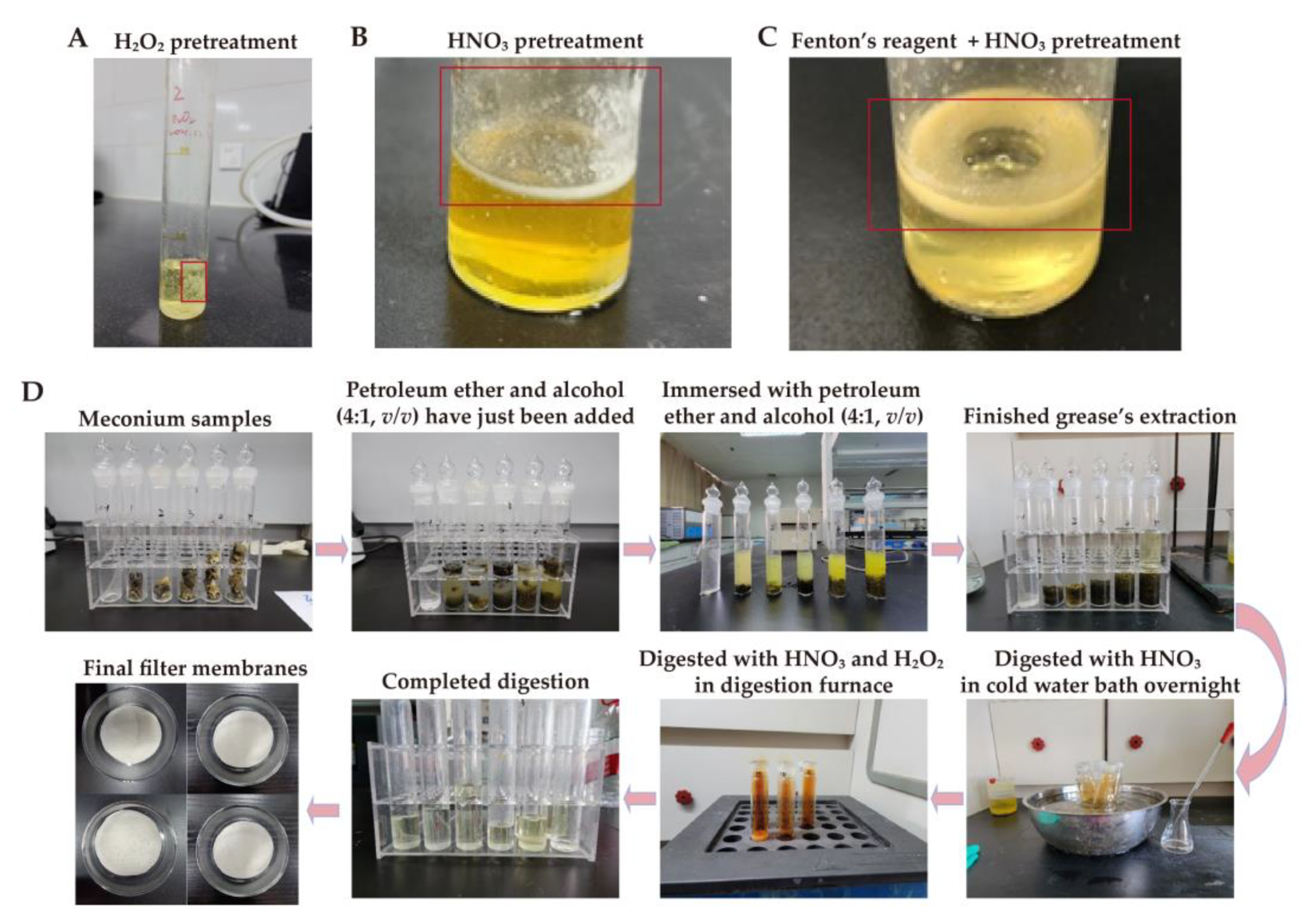 Toxics 11 00310 g002