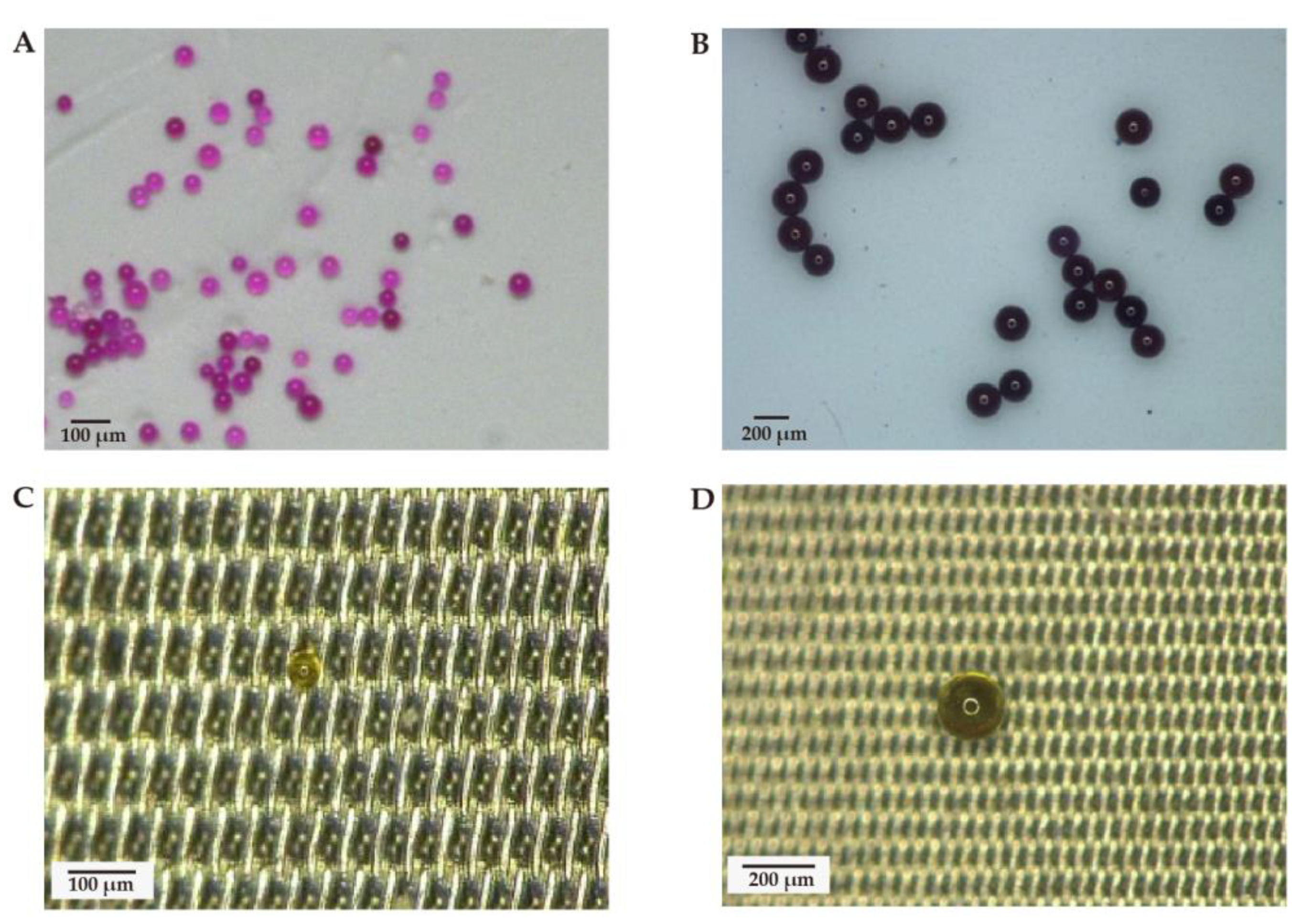 Toxics 11 00310 g003