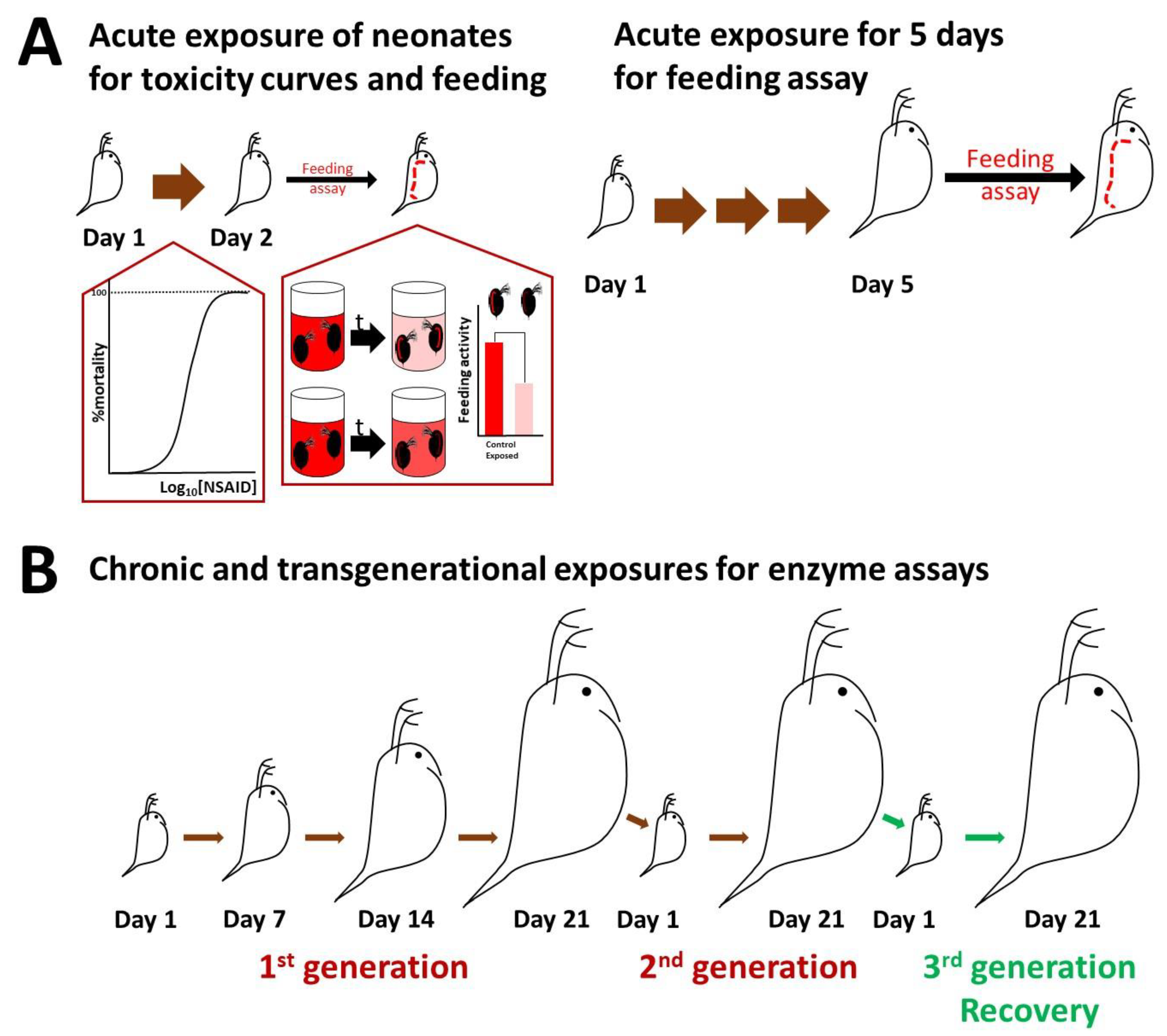 Toxics 11 00320 g001 Toxics 11 00320 g001