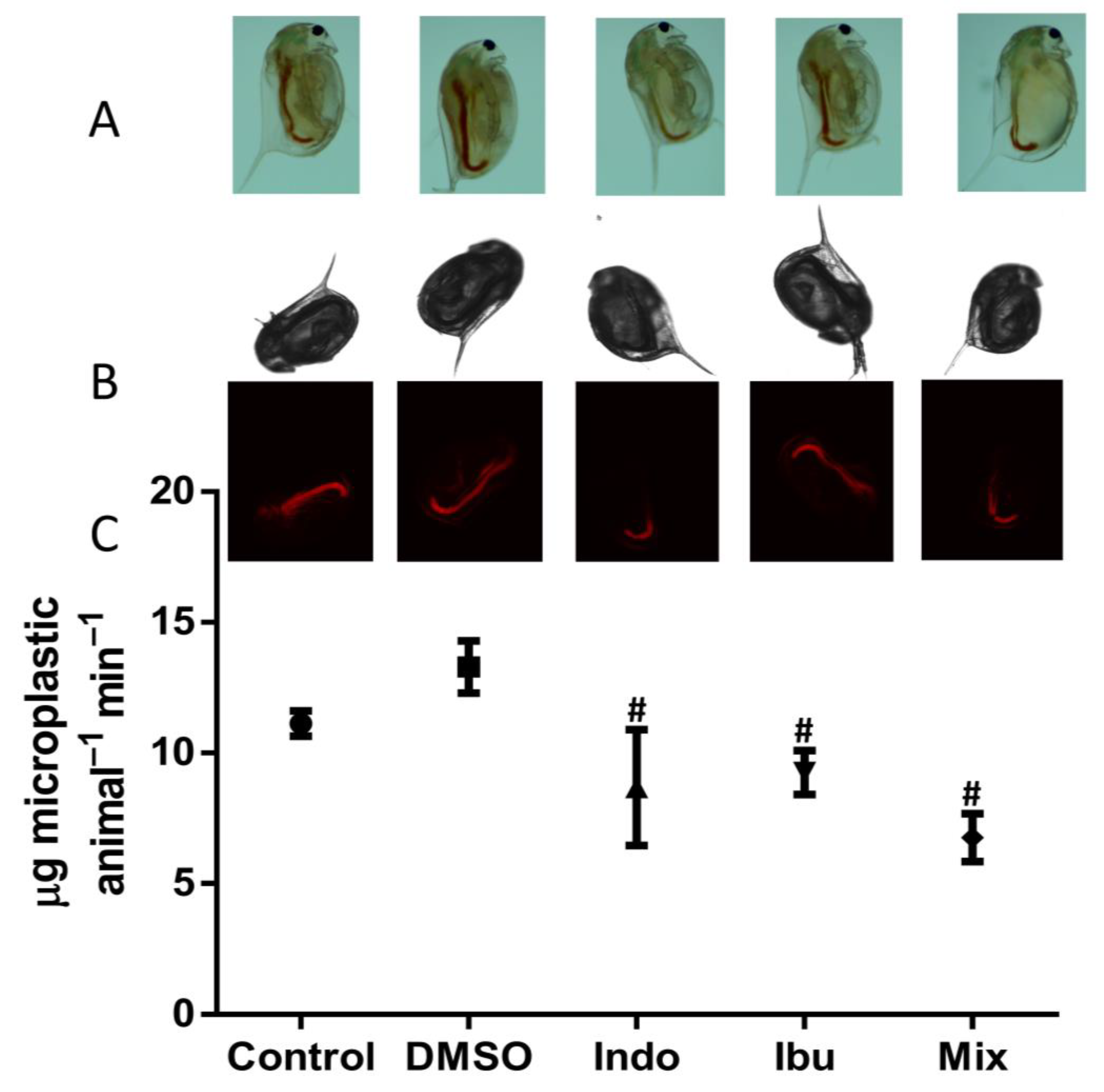 Toxics 11 00320 g003 Toxics 11 00320 g003