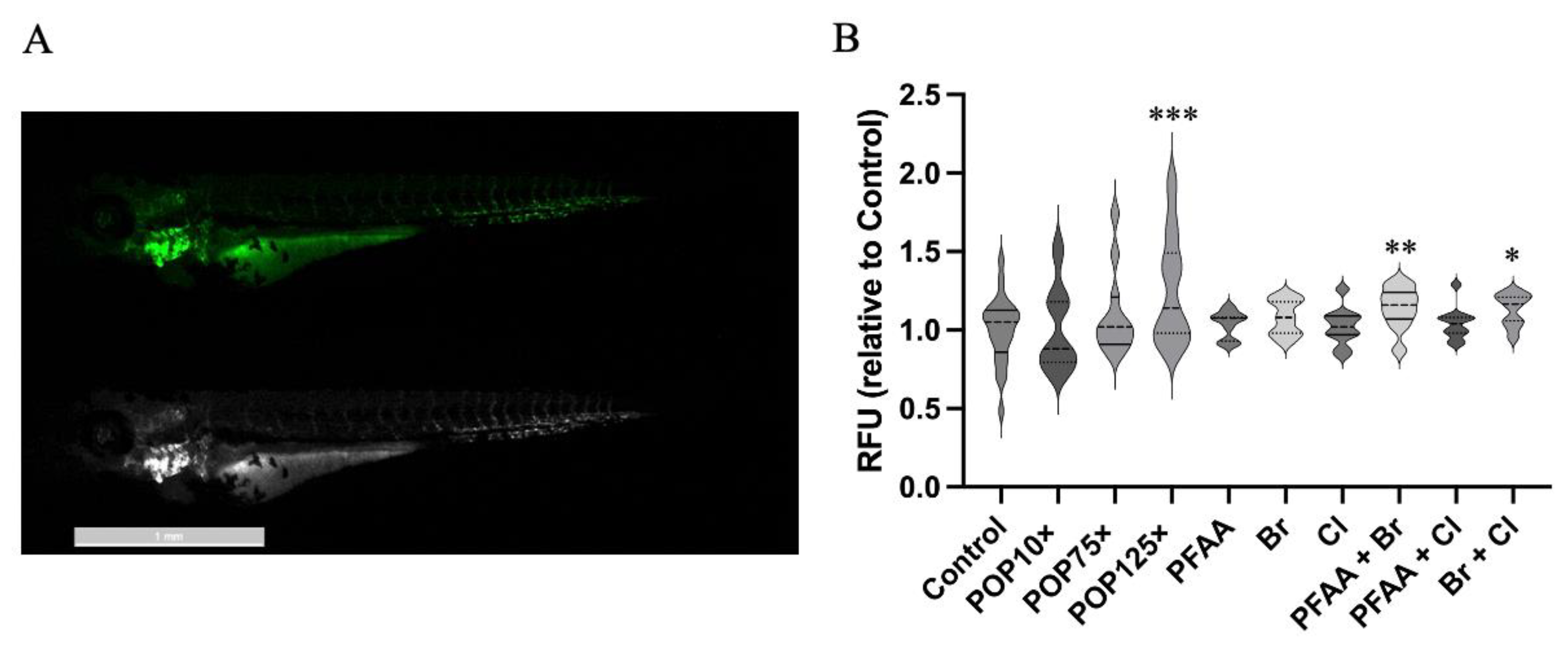 Toxics 11 00357 g008