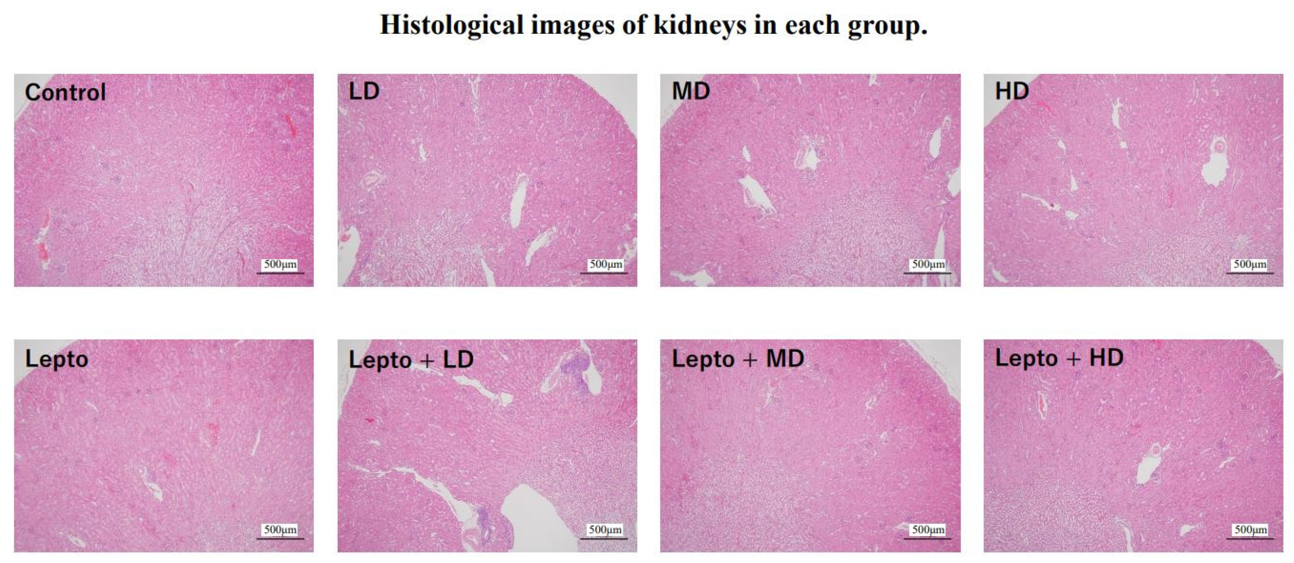 Toxics 11 00361 g005