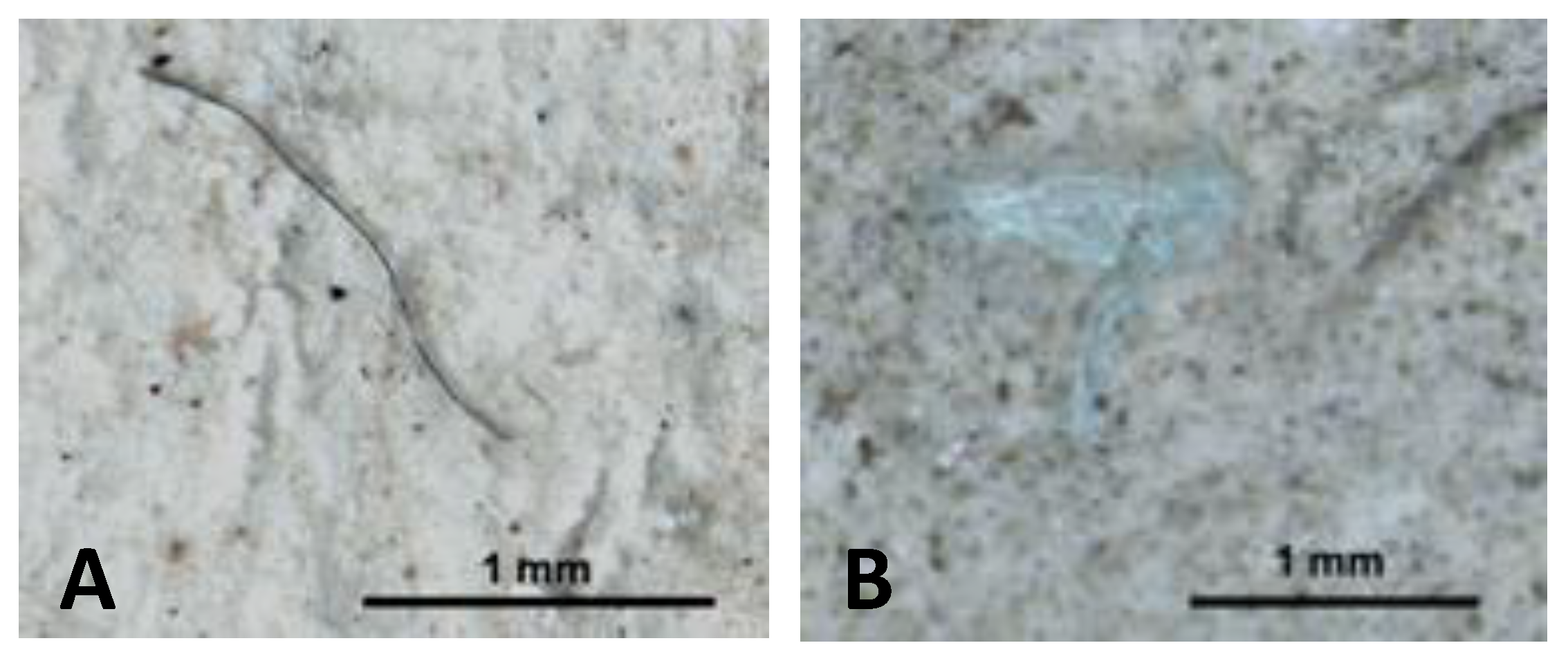 Toxics 11 00365 g002 Toxics 11 00365 g002