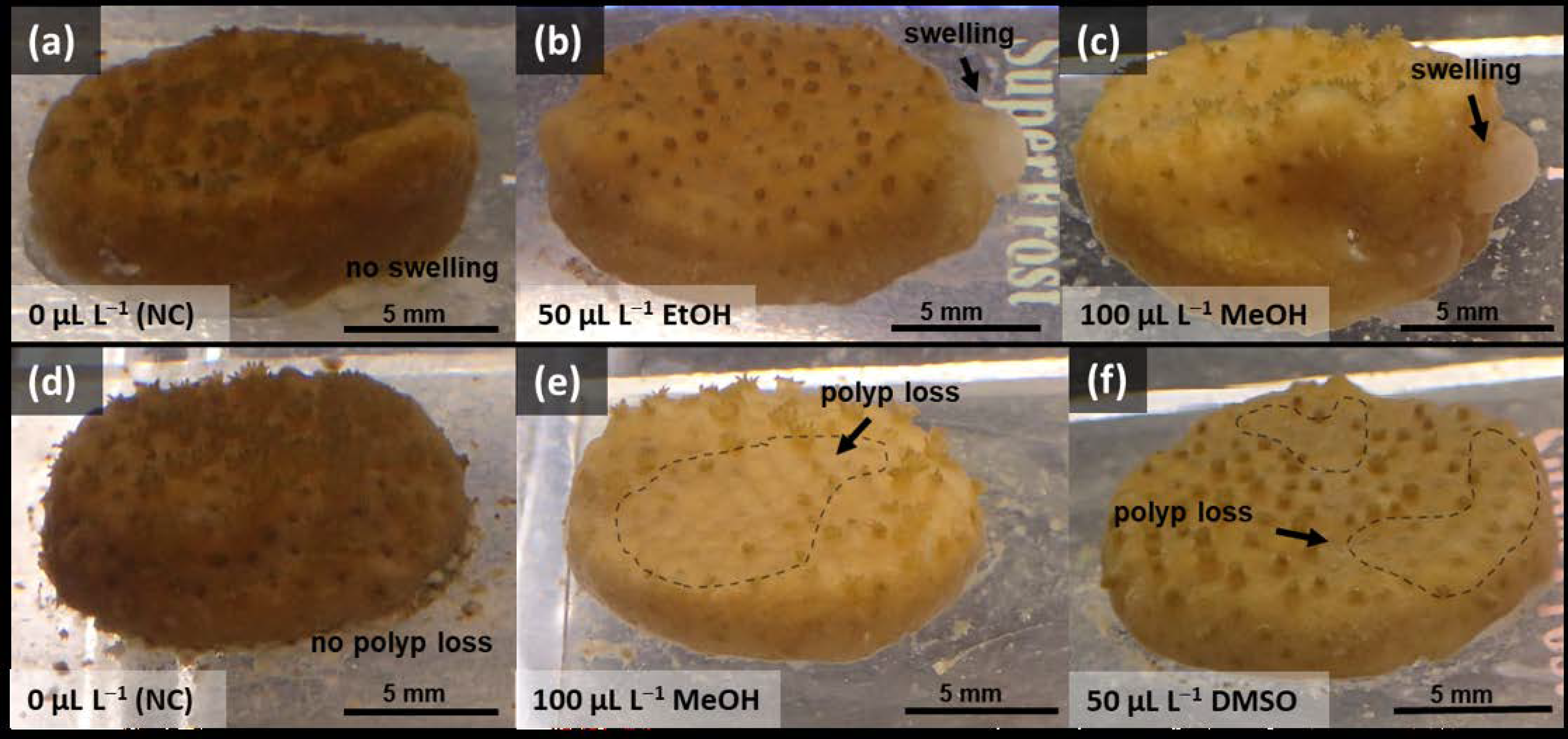 Toxics 11 00367 g004 Toxics 11 00367 g004