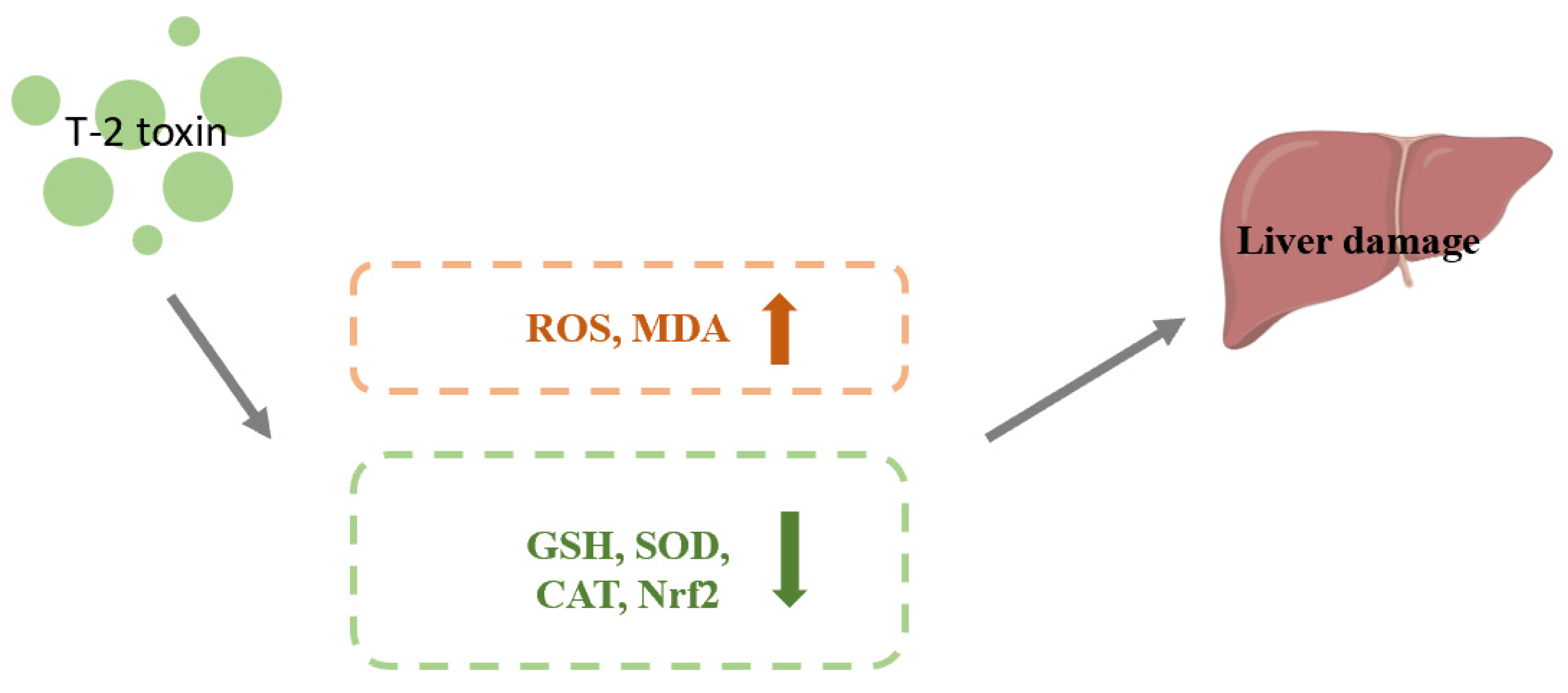 Toxics 11 00393 g004