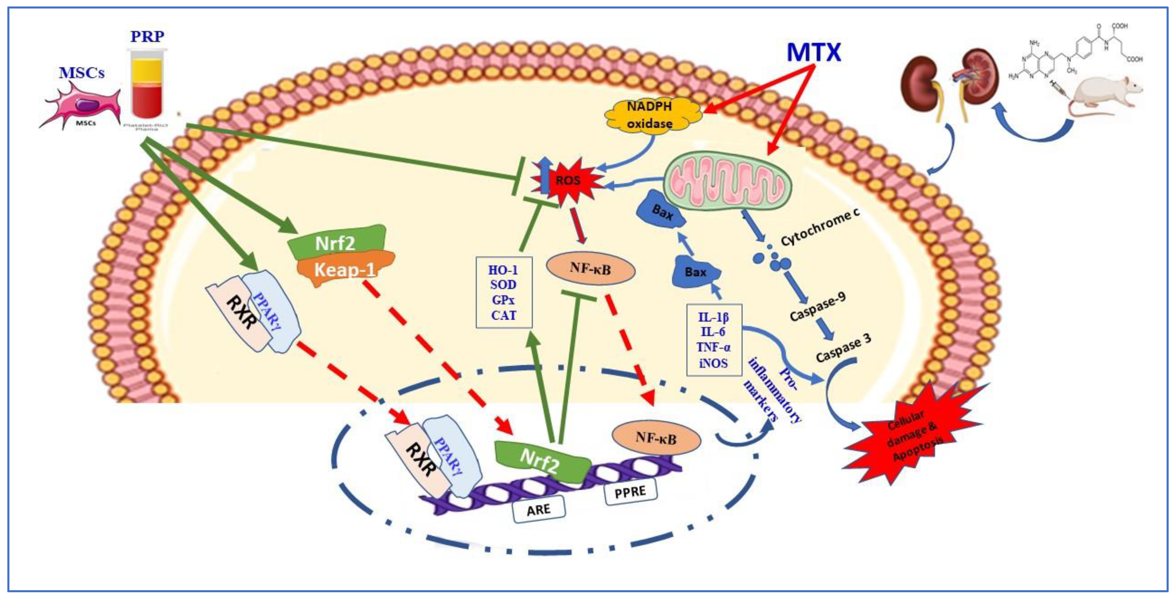 Toxics 11 00398 sch002 Toxics 11 00398 sch002