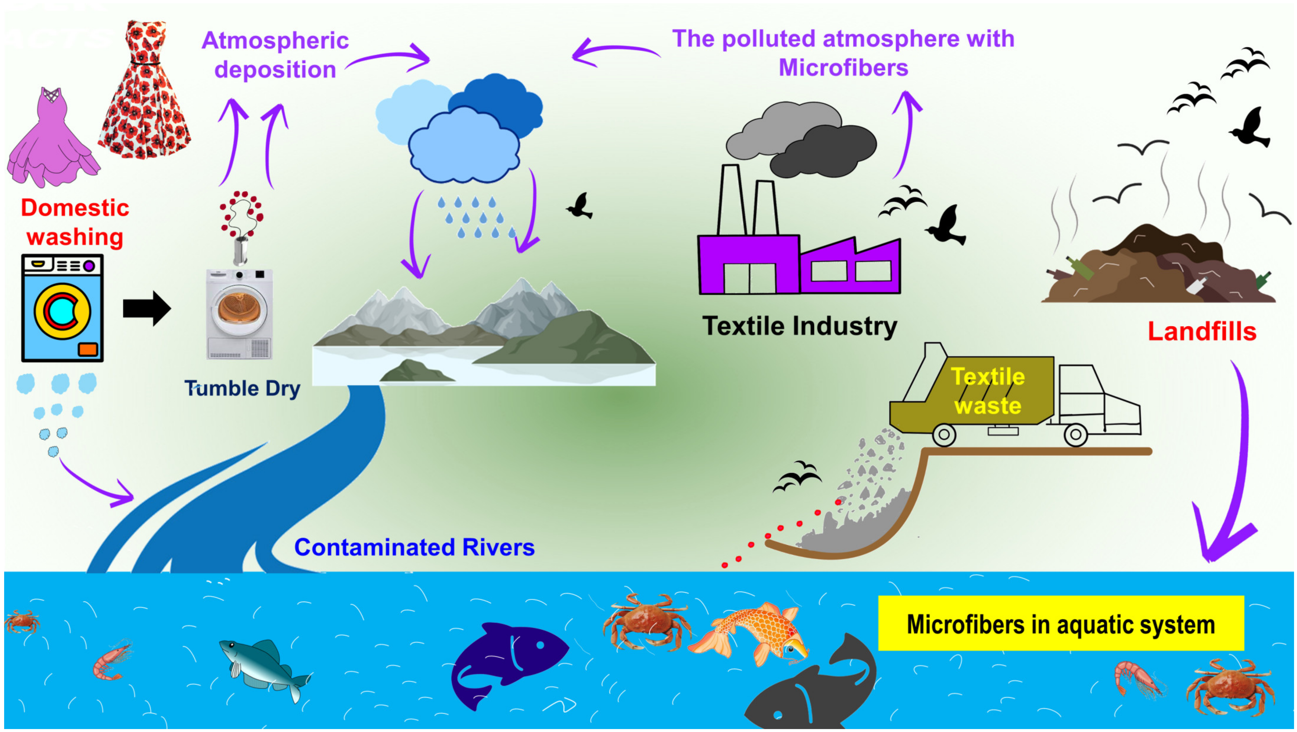 Toxics | Free Full-Text | Microfiber Emissions from Functionalized  Textiles: Potential Threat for Human Health and Environmental Risks