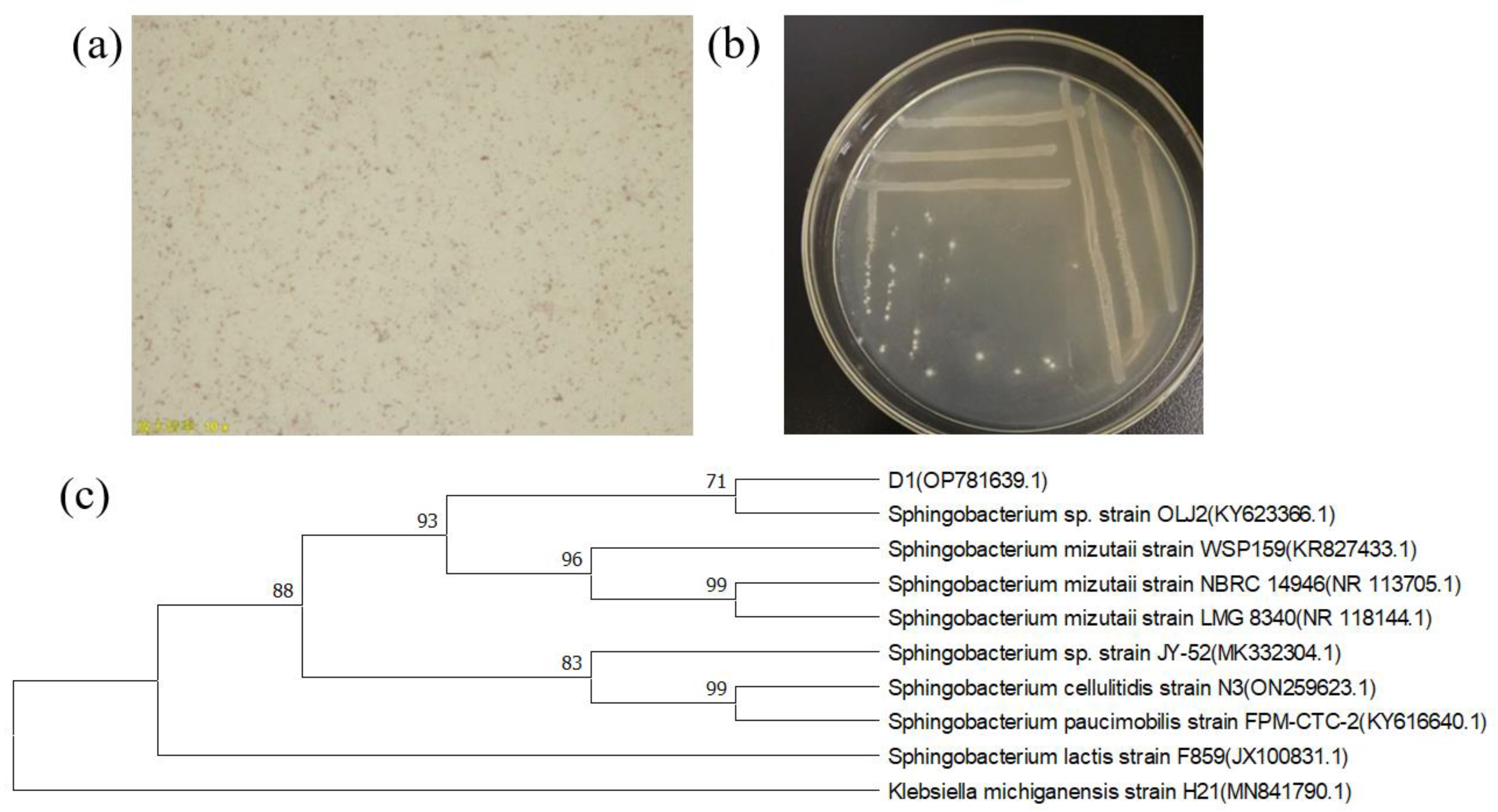 Toxics 11 00412 g001