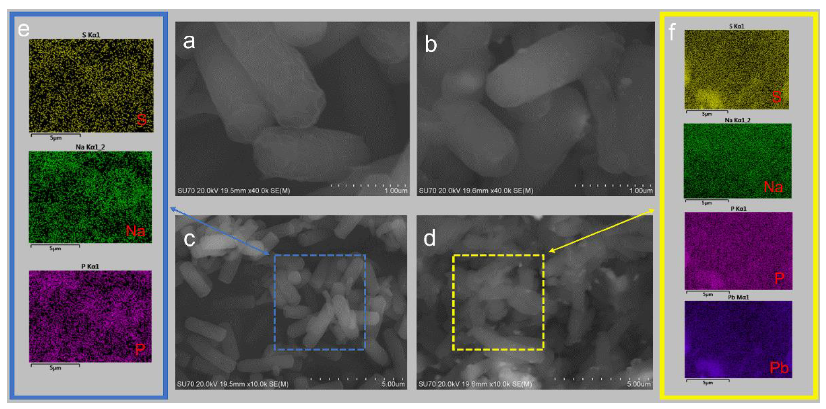Toxics 11 00412 g003