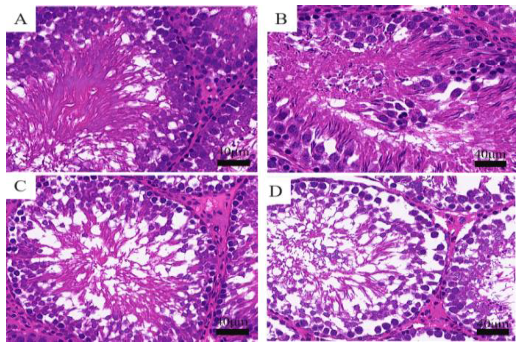 Toxics 11 00451 g001 Toxics 11 00451 g001