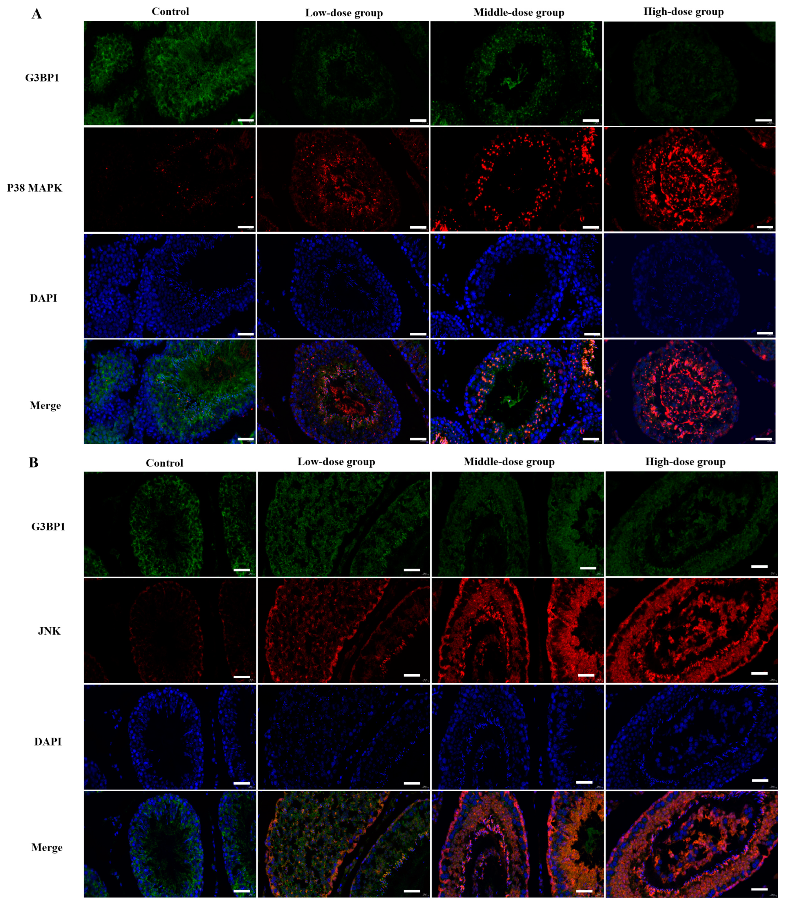 Toxics 11 00451 g007 Toxics 11 00451 g007