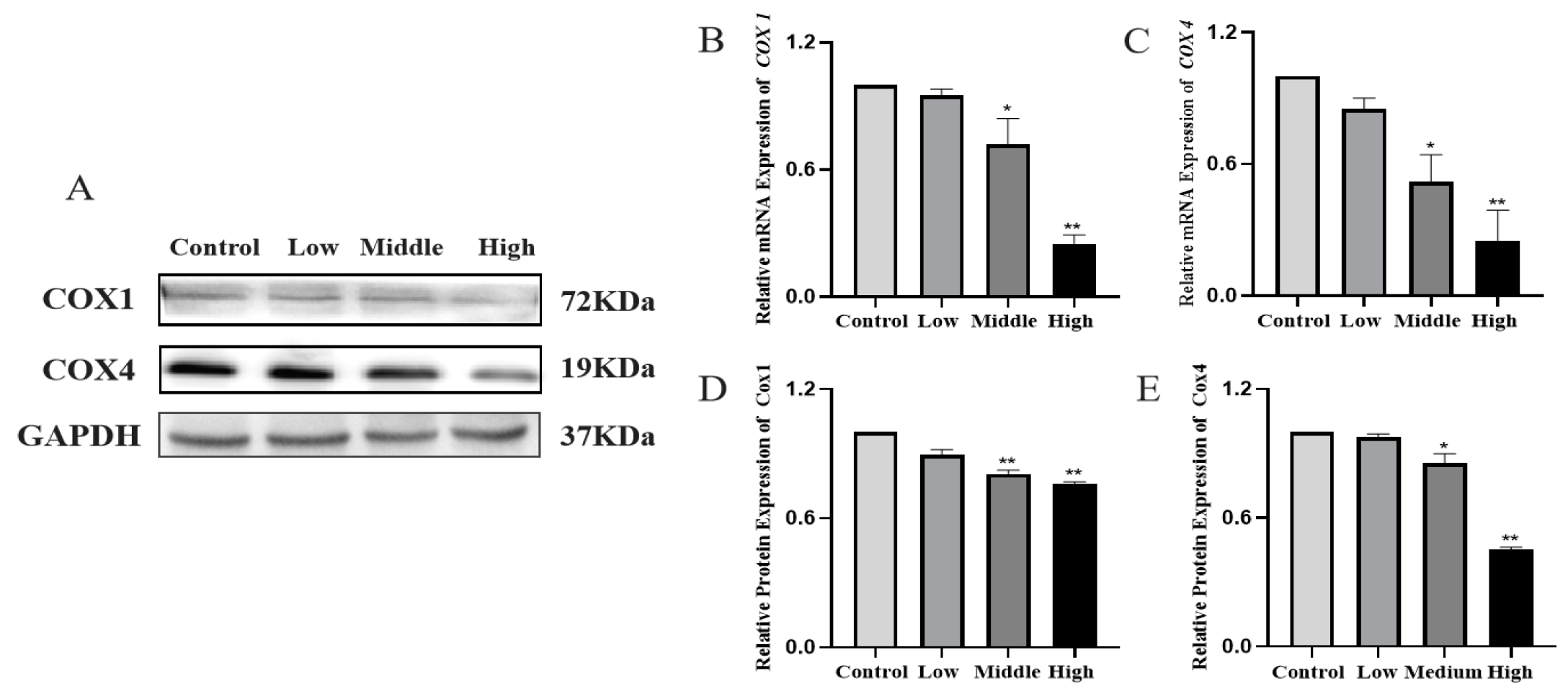 Toxics 11 00451 g008 Toxics 11 00451 g008