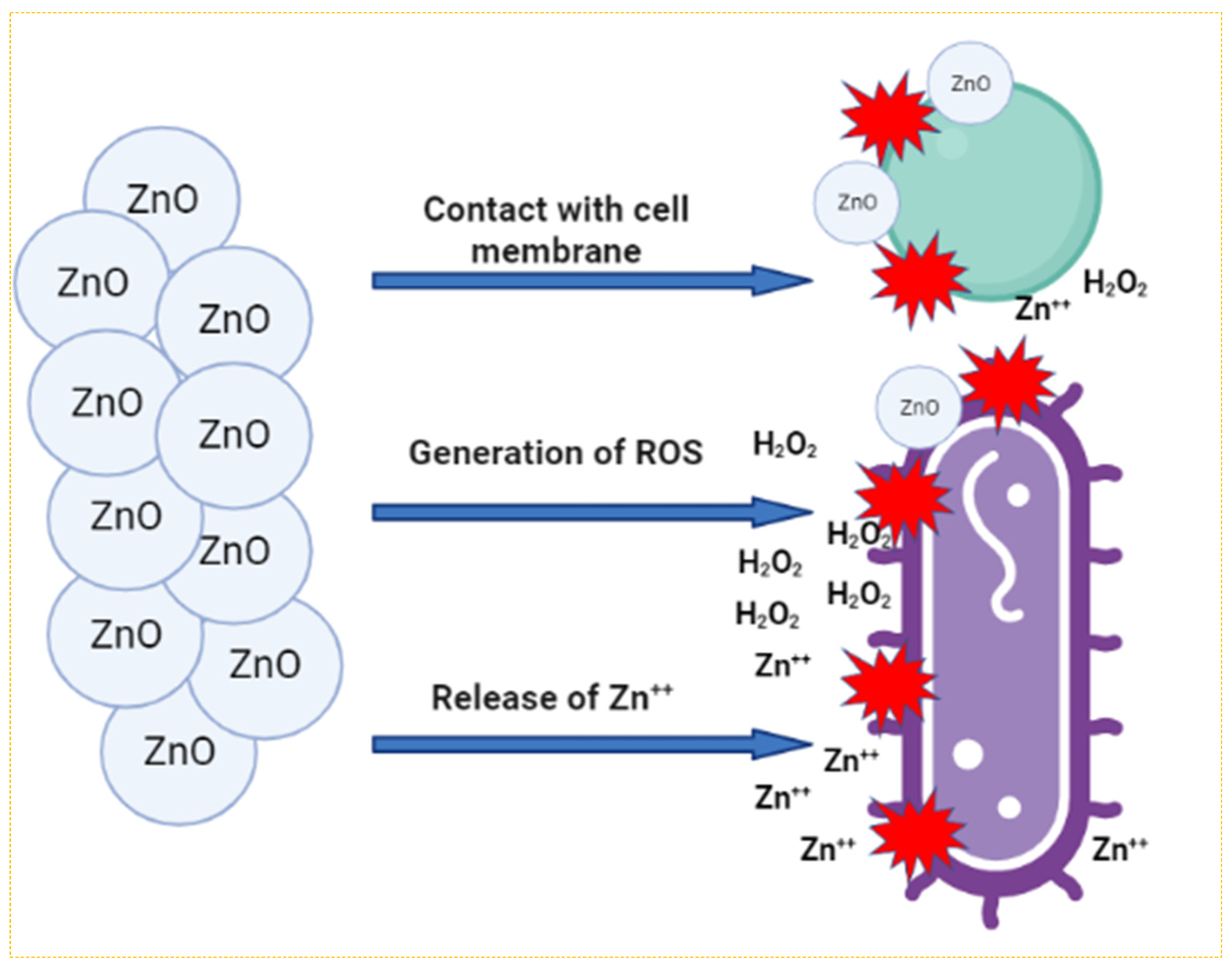 Toxics 11 00452 g002 Toxics 11 00452 g002