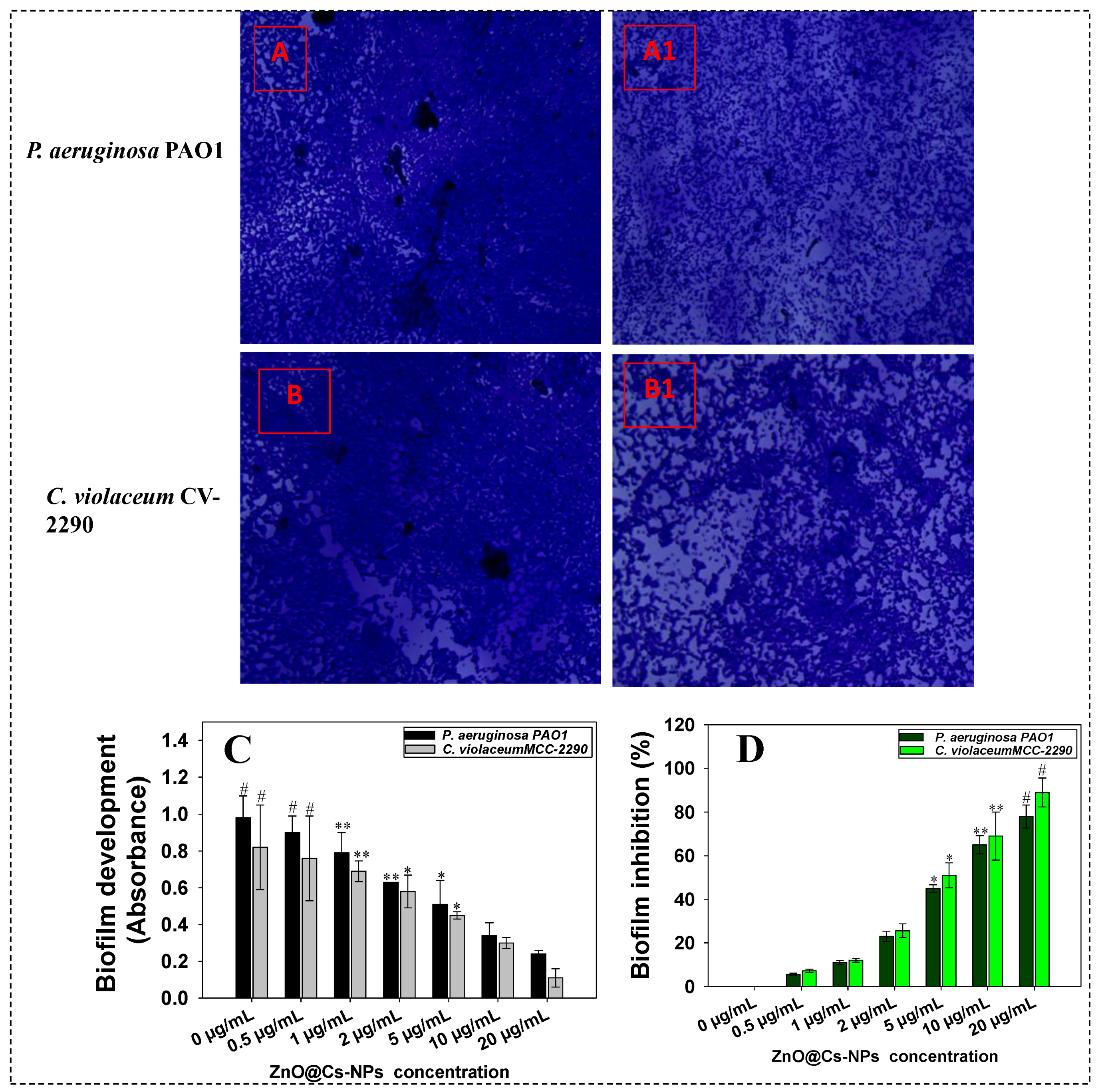Toxics 11 00452 g005 Toxics 11 00452 g005