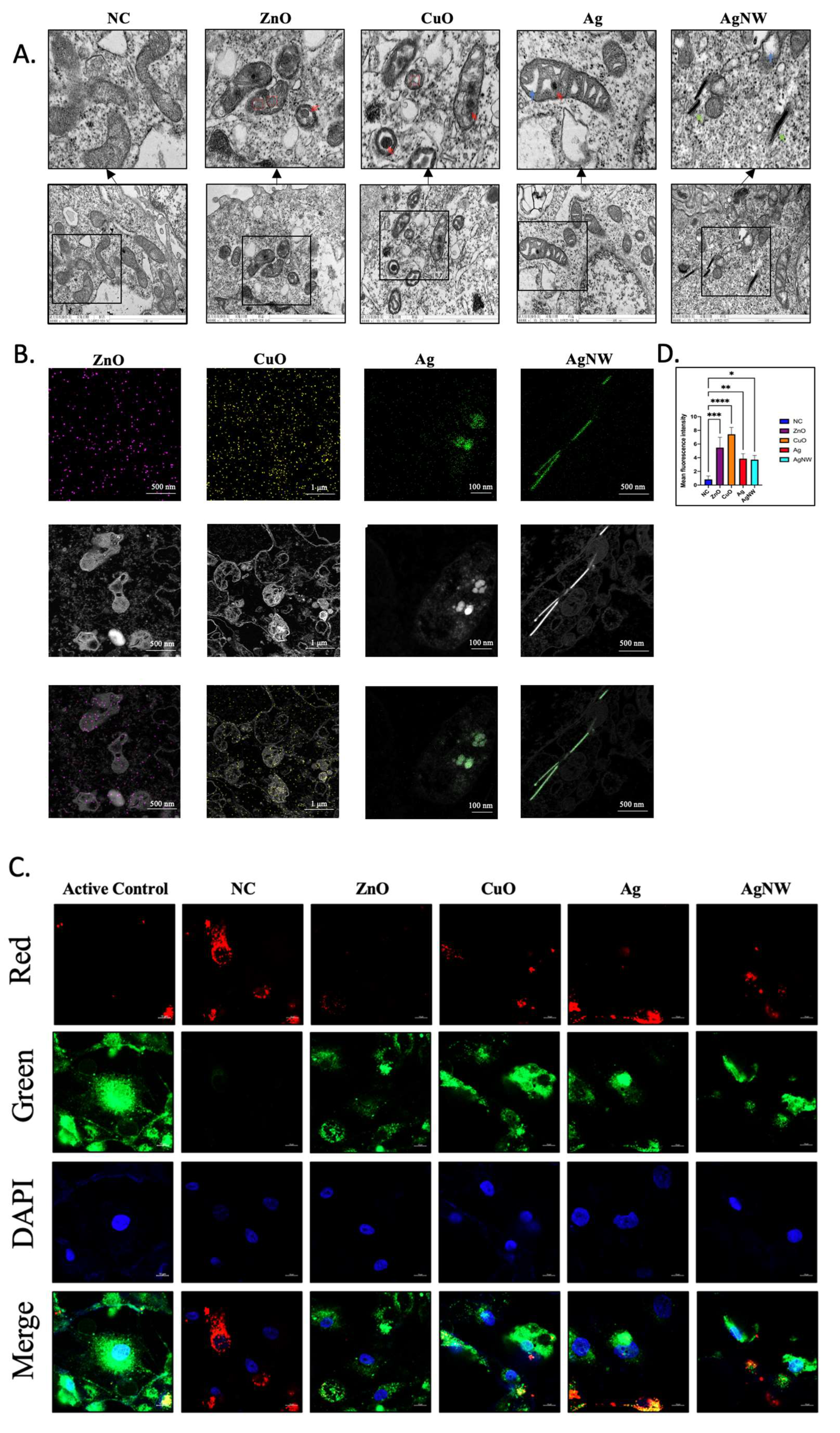 Toxics 11 00453 g003 Toxics 11 00453 g003