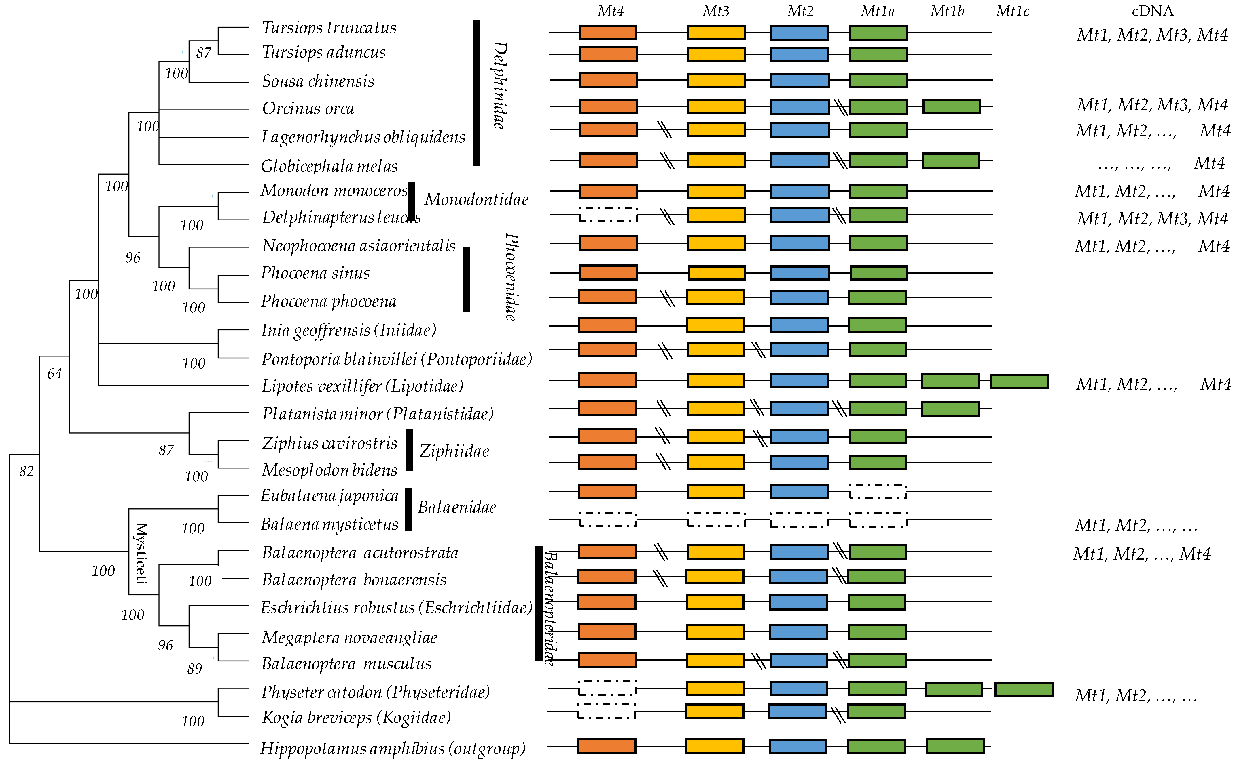 Toxics 11 00454 g001 Toxics 11 00454 g001