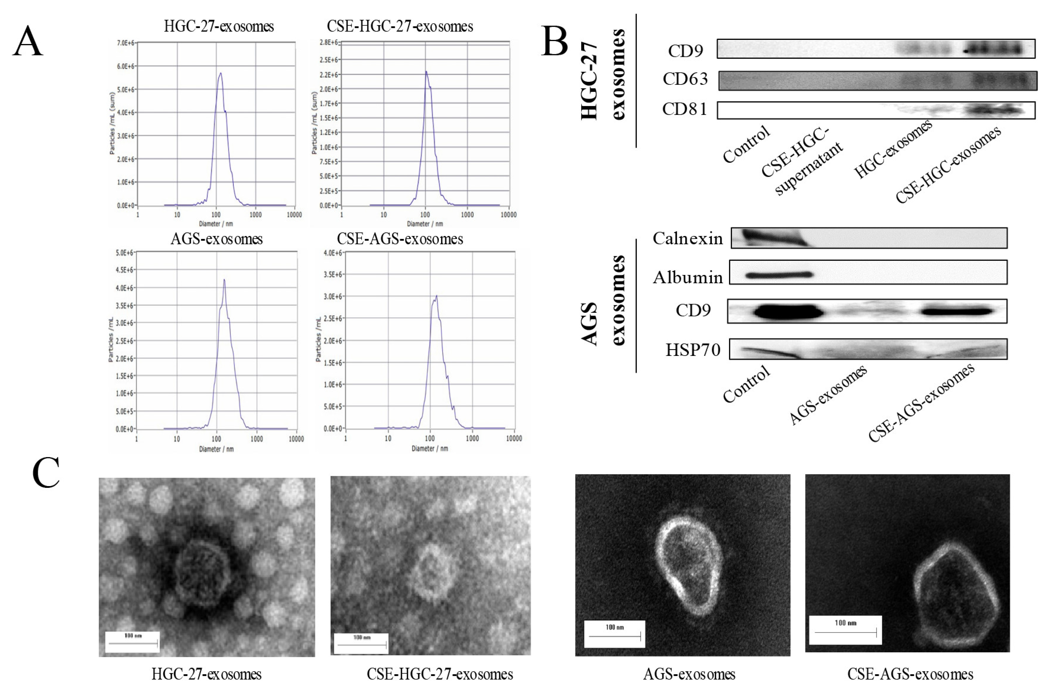 Toxics 11 00465 g002 Toxics 11 00465 g002