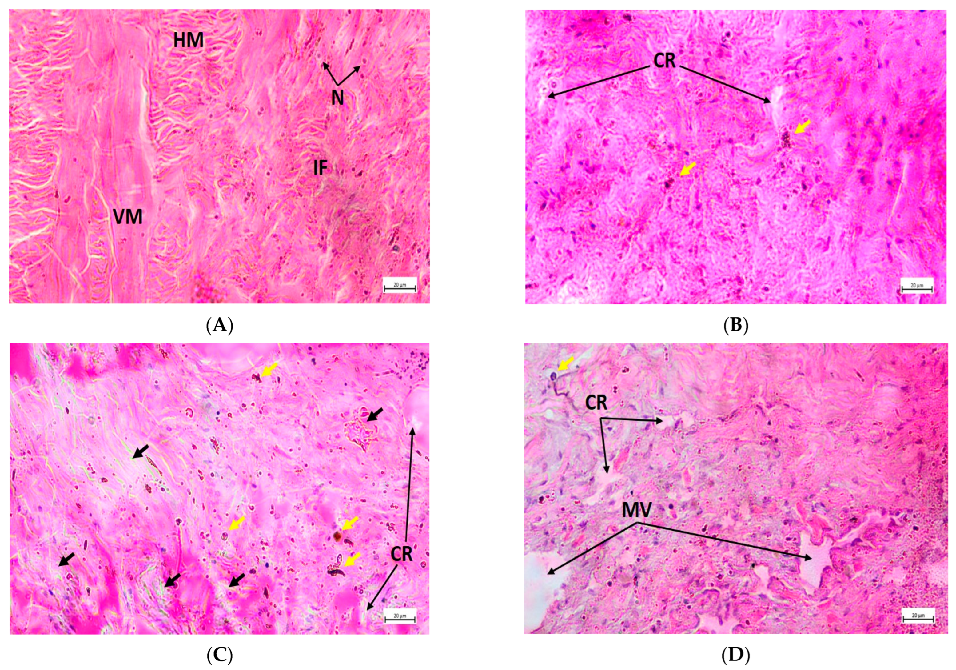 Toxics 11 00475 g006 Toxics 11 00475 g006