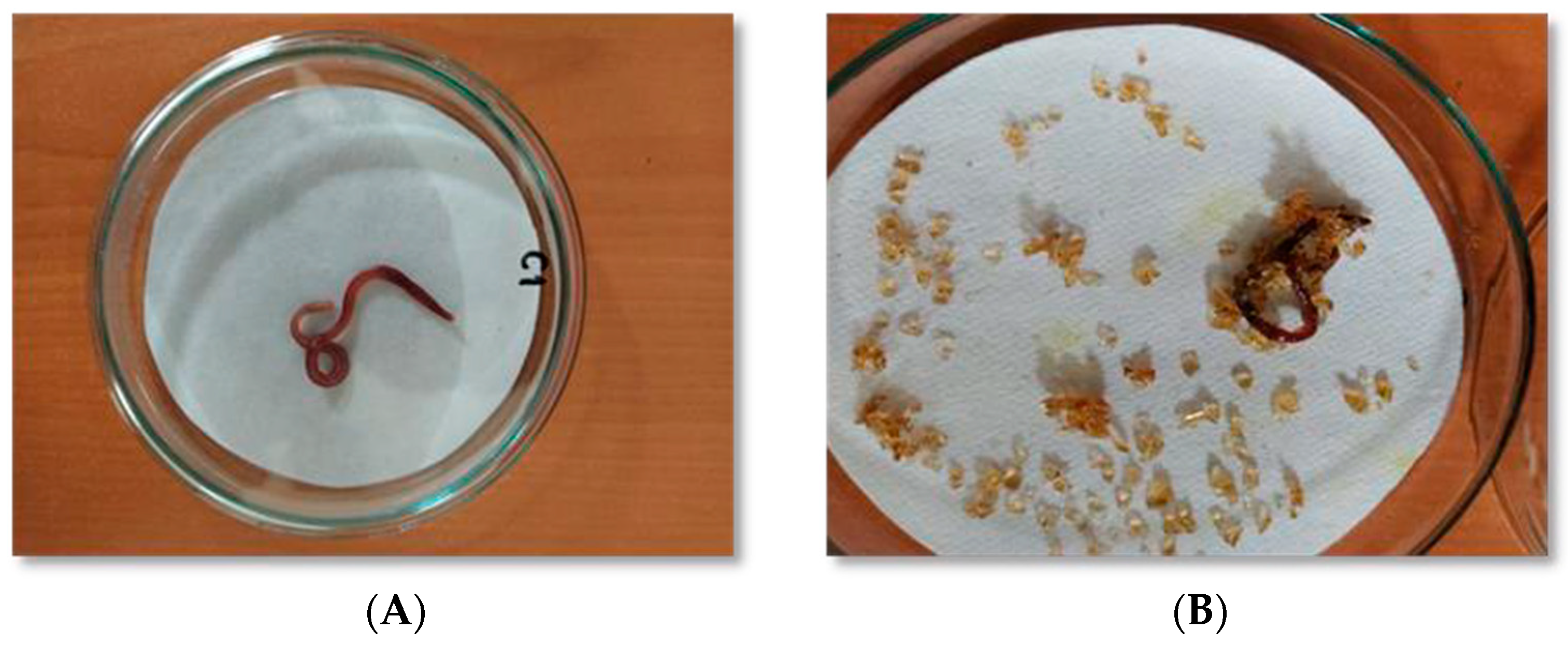 Toxics 11 00476 g006 Toxics 11 00476 g006