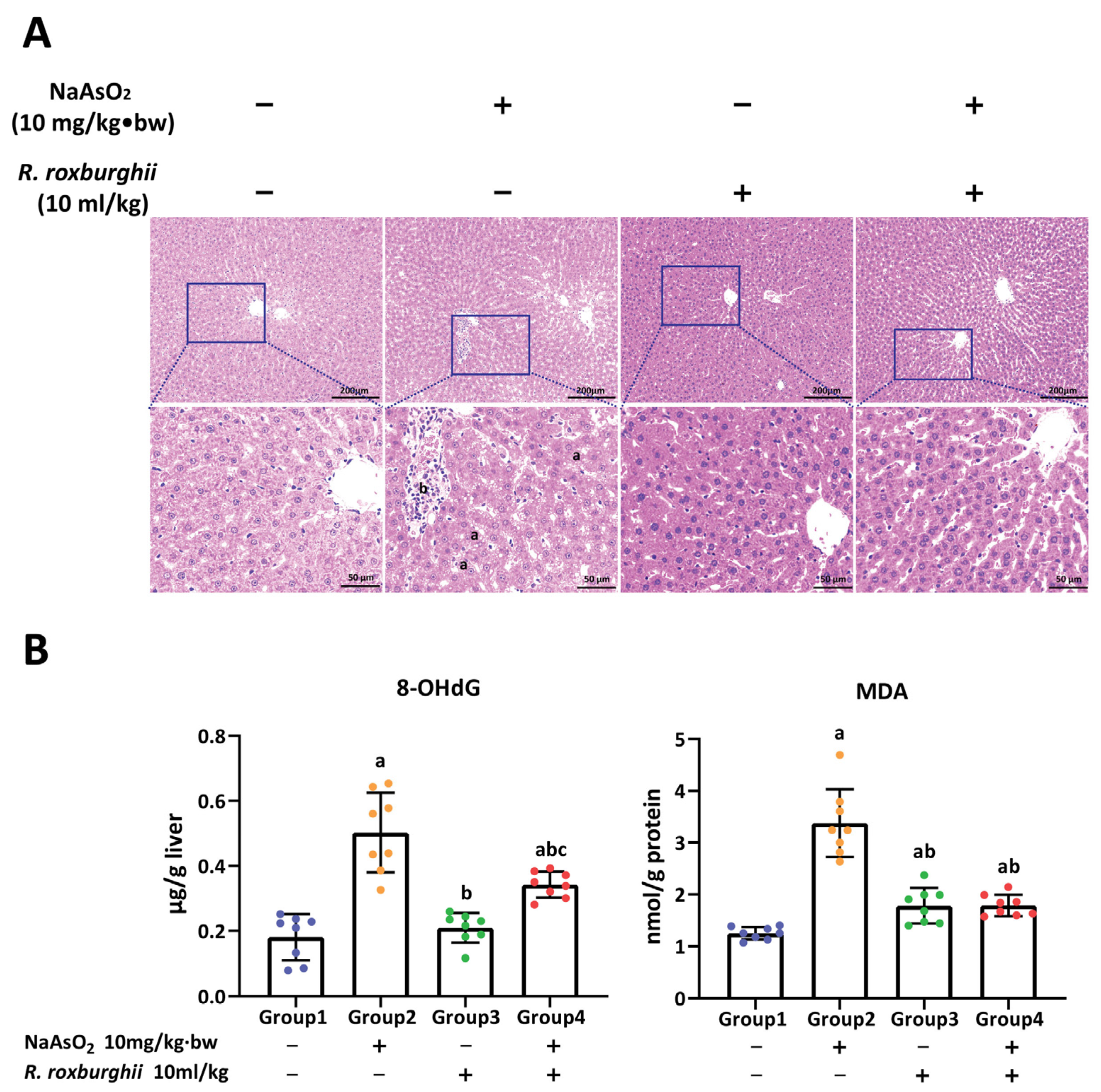 Toxics 11 00503 g005 Toxics 11 00503 g005