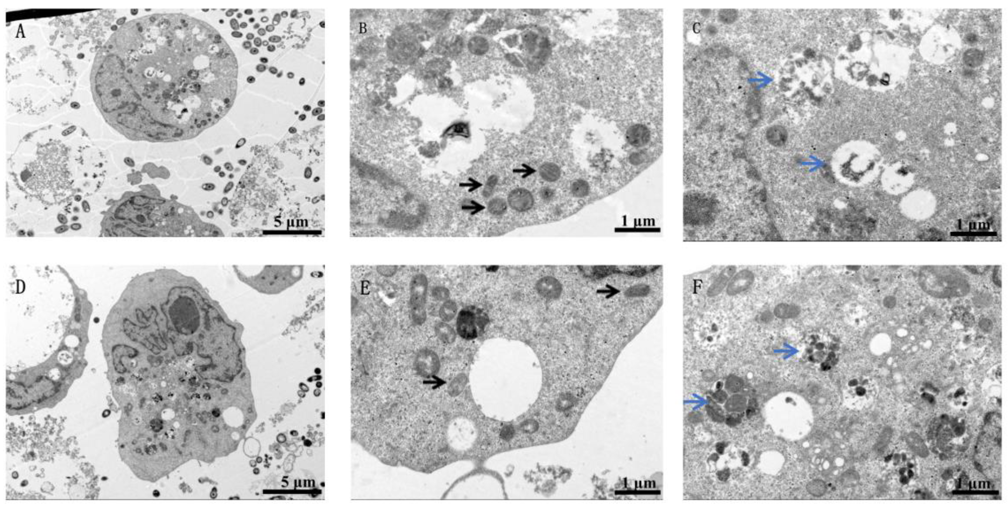 Toxics 11 00528 g002 Toxics 11 00528 g002