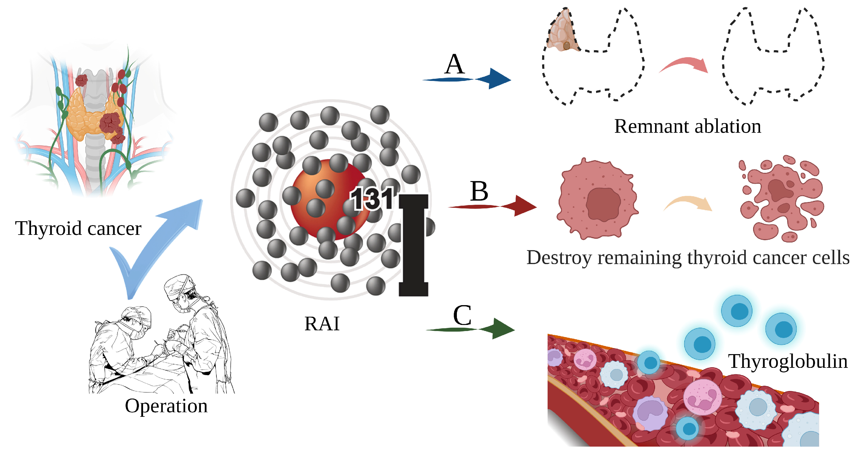 Toxics 11 00529 g001 Toxics 11 00529 g001