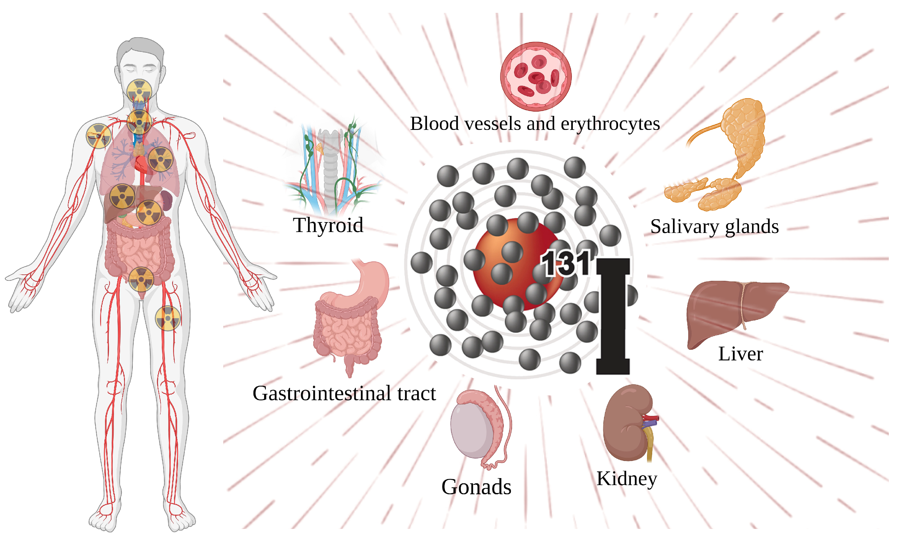 Toxics 11 00529 g002 Toxics 11 00529 g002