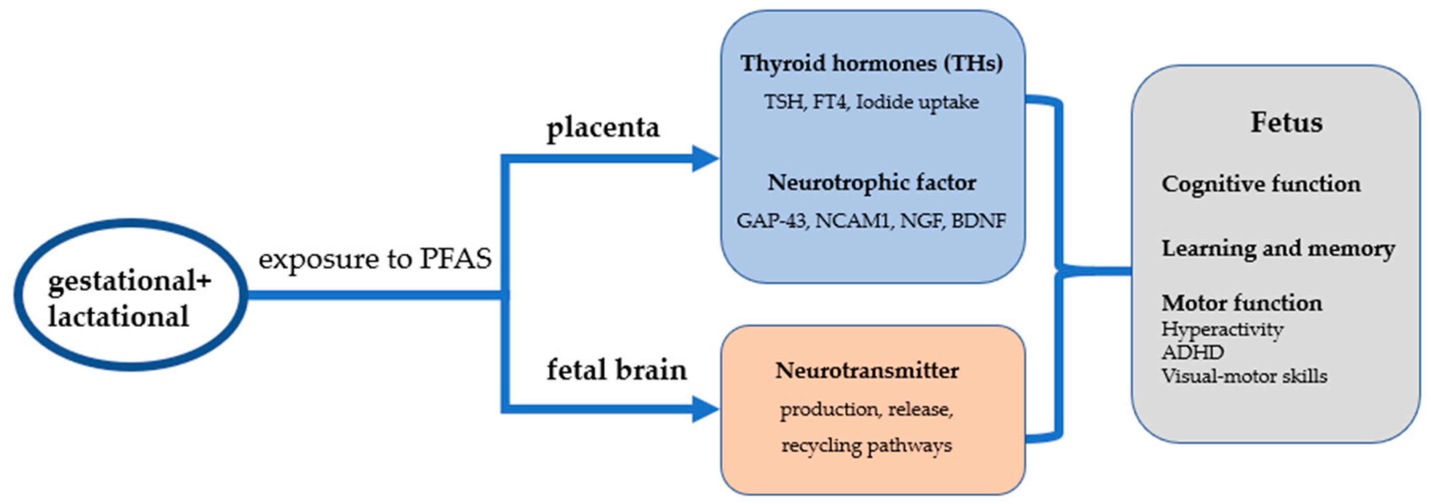 Toxics 11 00571 g001 Toxics 11 00571 g001