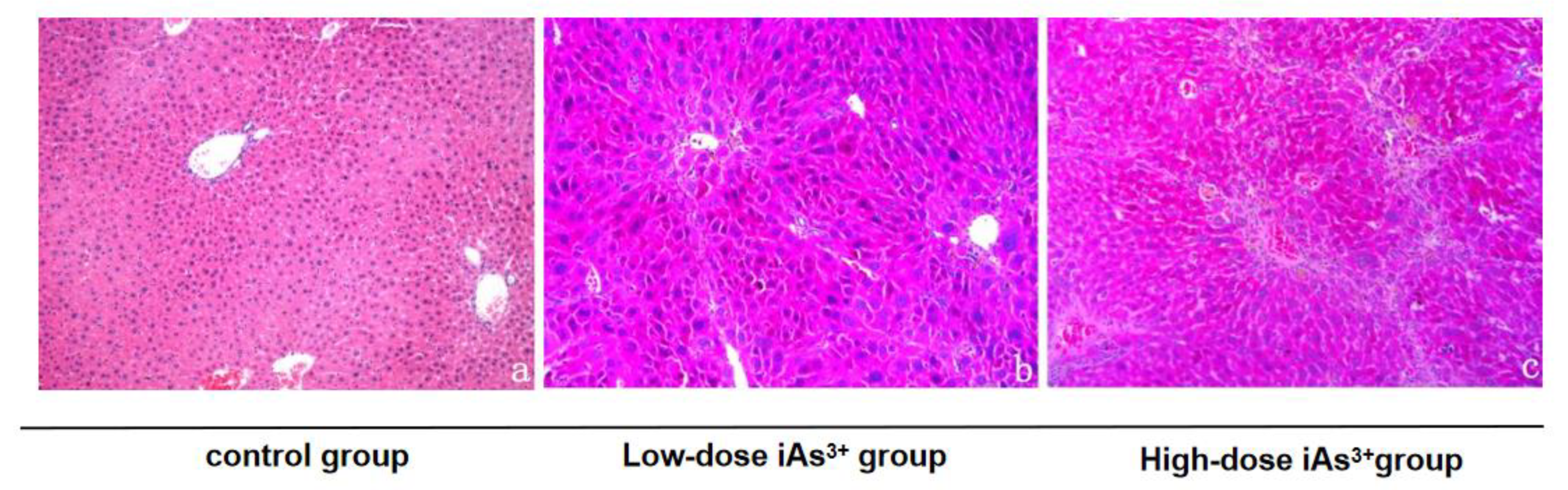 Toxics 11 00578 g001 Toxics 11 00578 g001
