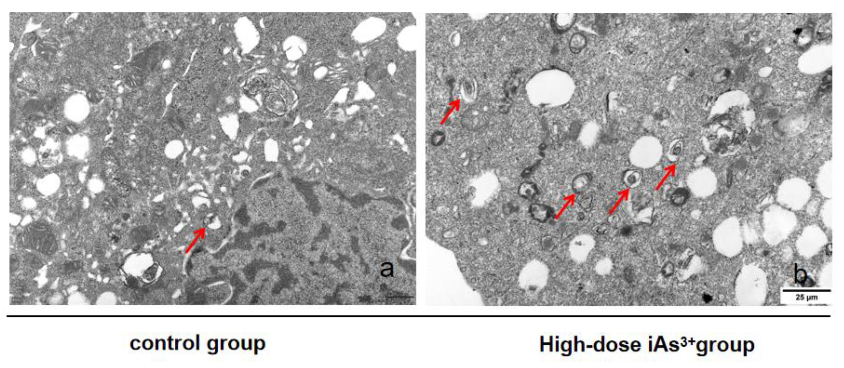 Toxics 11 00578 g003 Toxics 11 00578 g003