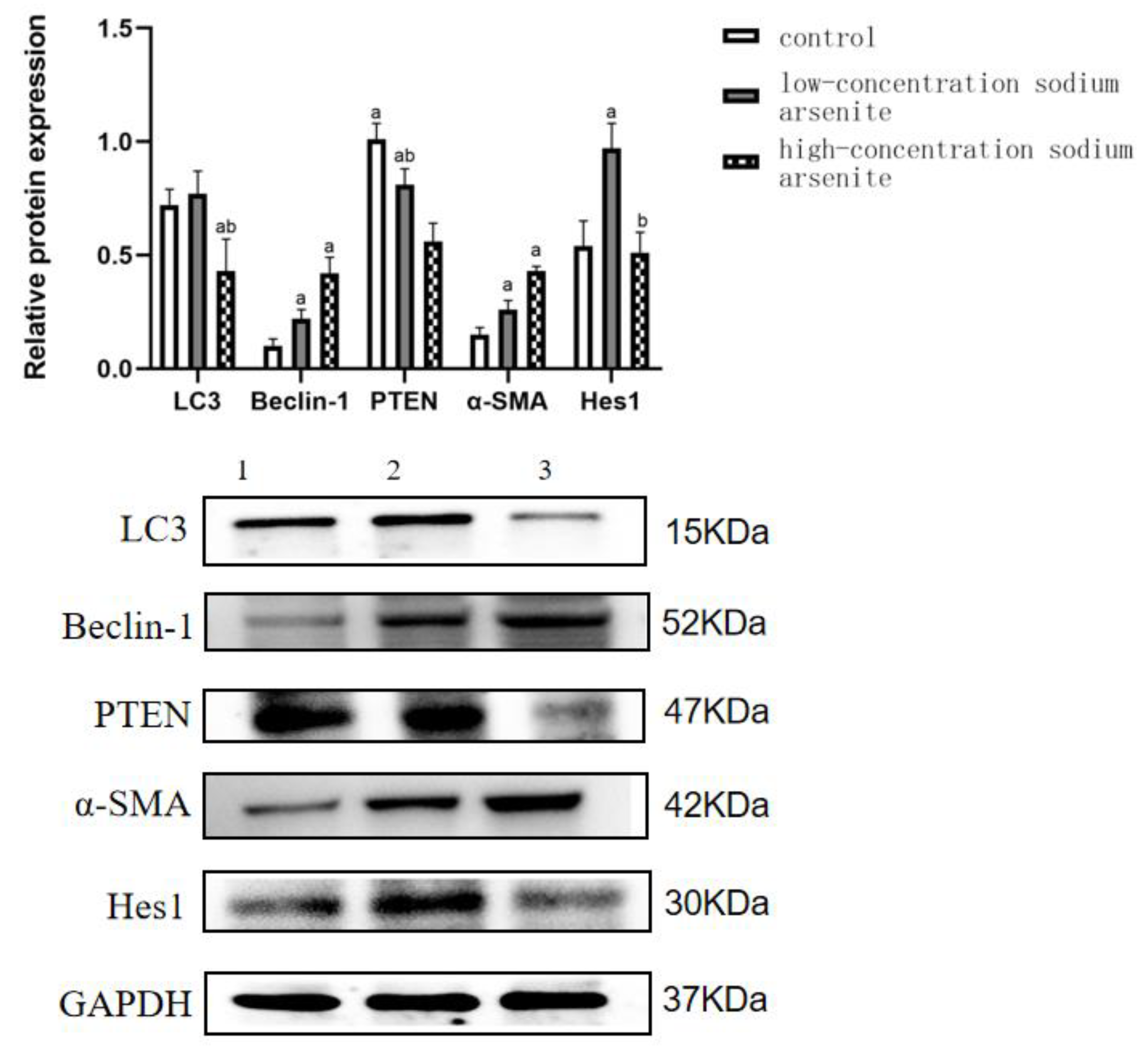 Toxics 11 00578 g004 Toxics 11 00578 g004