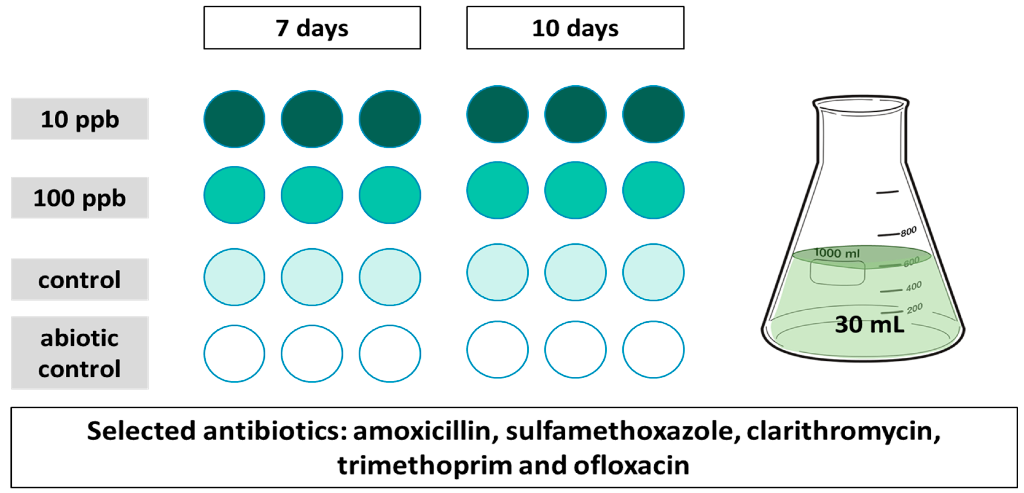 Toxics 11 00588 g001 Toxics 11 00588 g001
