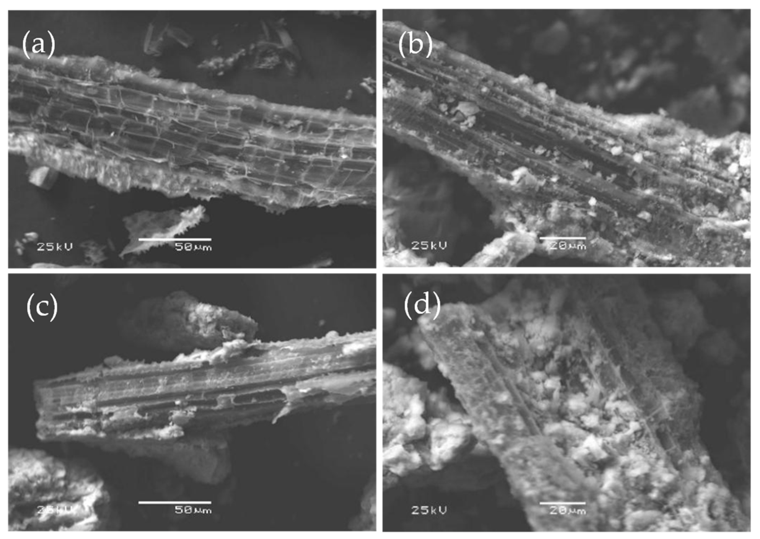 Toxics 11 00590 g007 Toxics 11 00590 g007