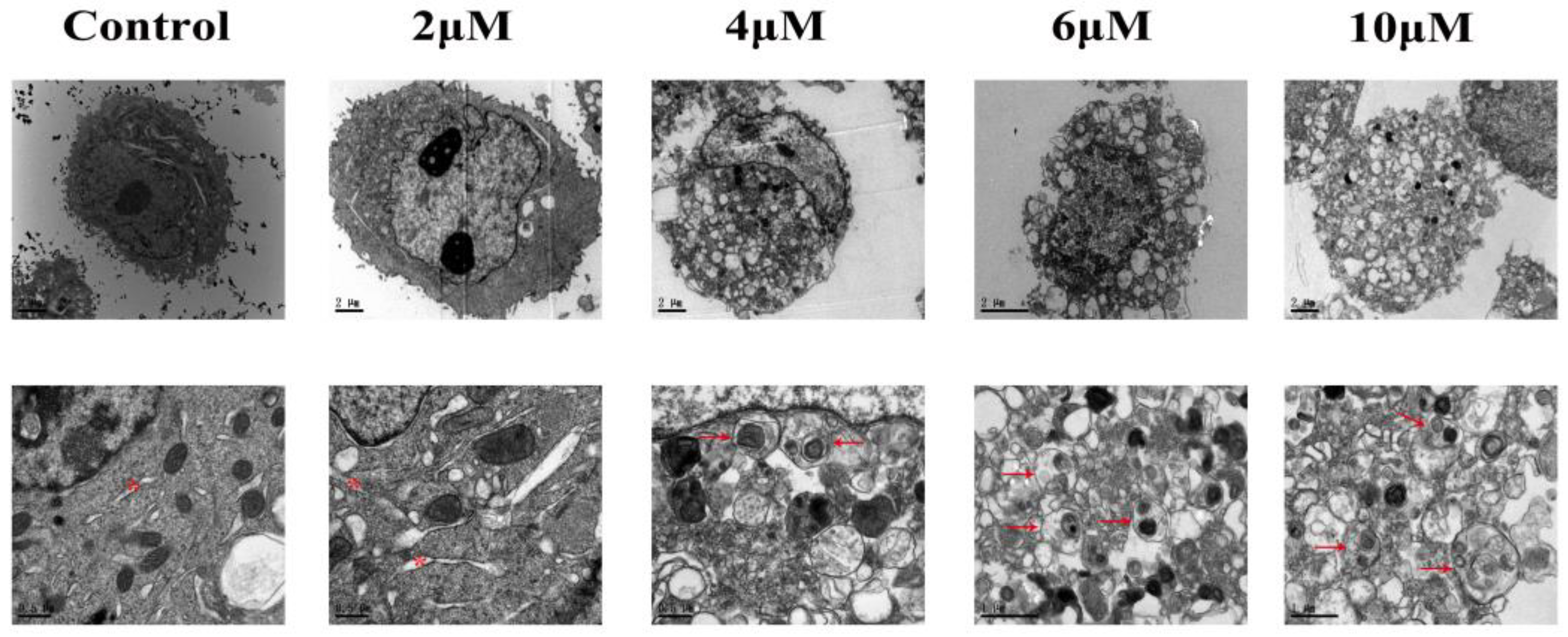Toxics 11 00607 g002 Toxics 11 00607 g002