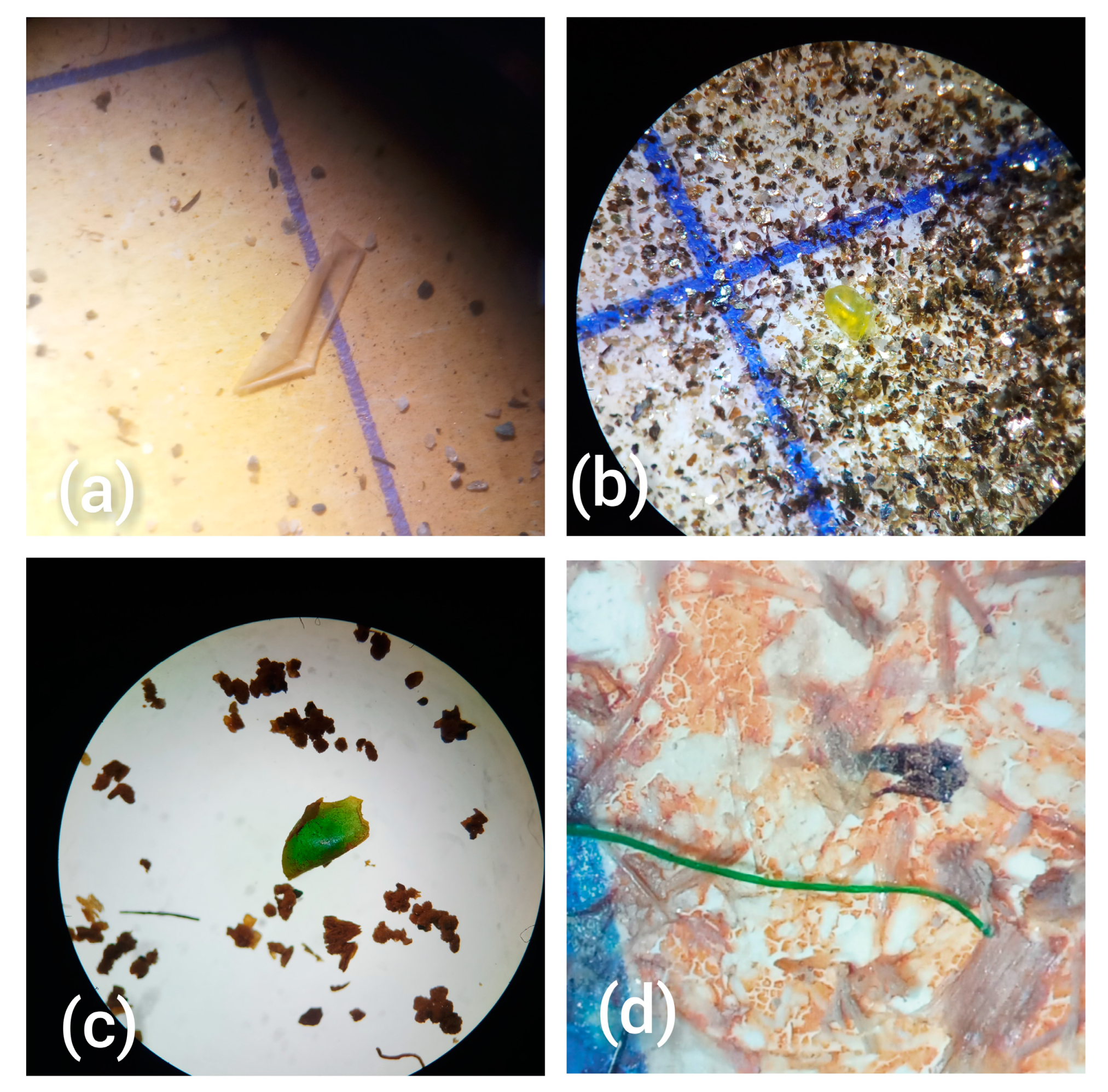 Toxics 11 00612 g001 Toxics 11 00612 g001